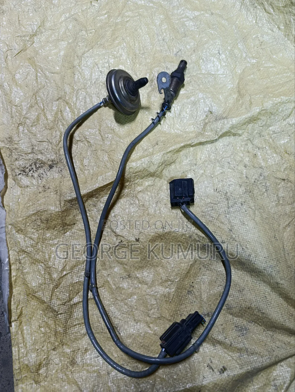 Oxygen Sensors Mazda Demio