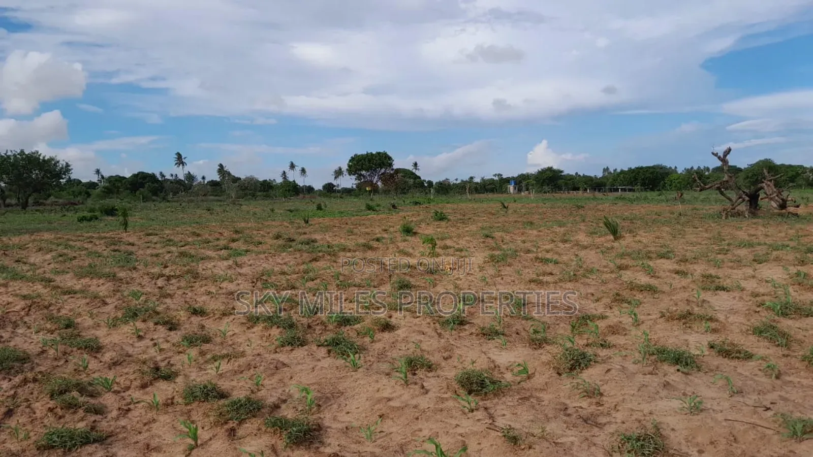 13-Acre Farm for Sale- Majaoni