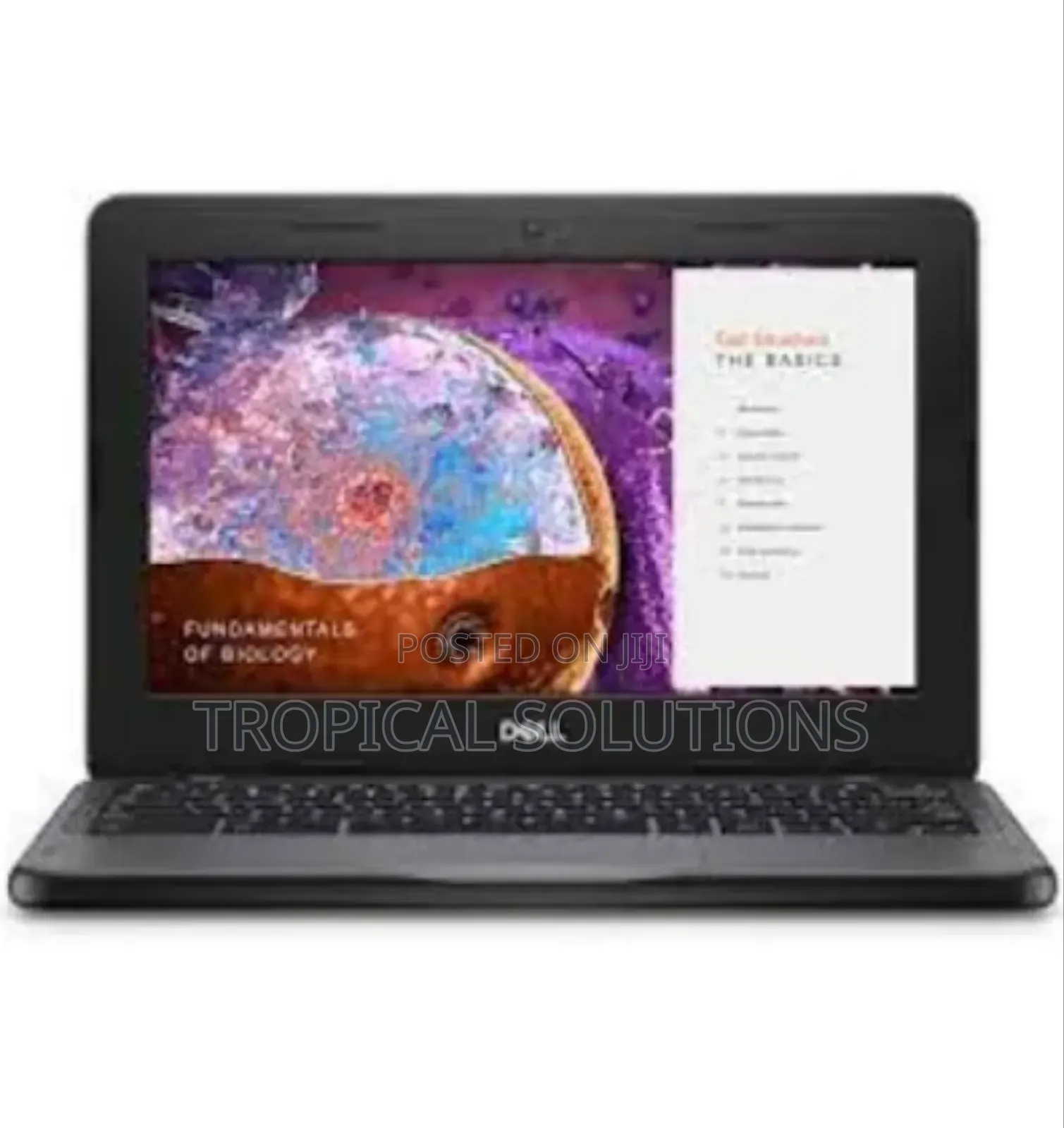 New Laptop Dell Chromebook 3100 4GB Intel Celeron SSD 32GB