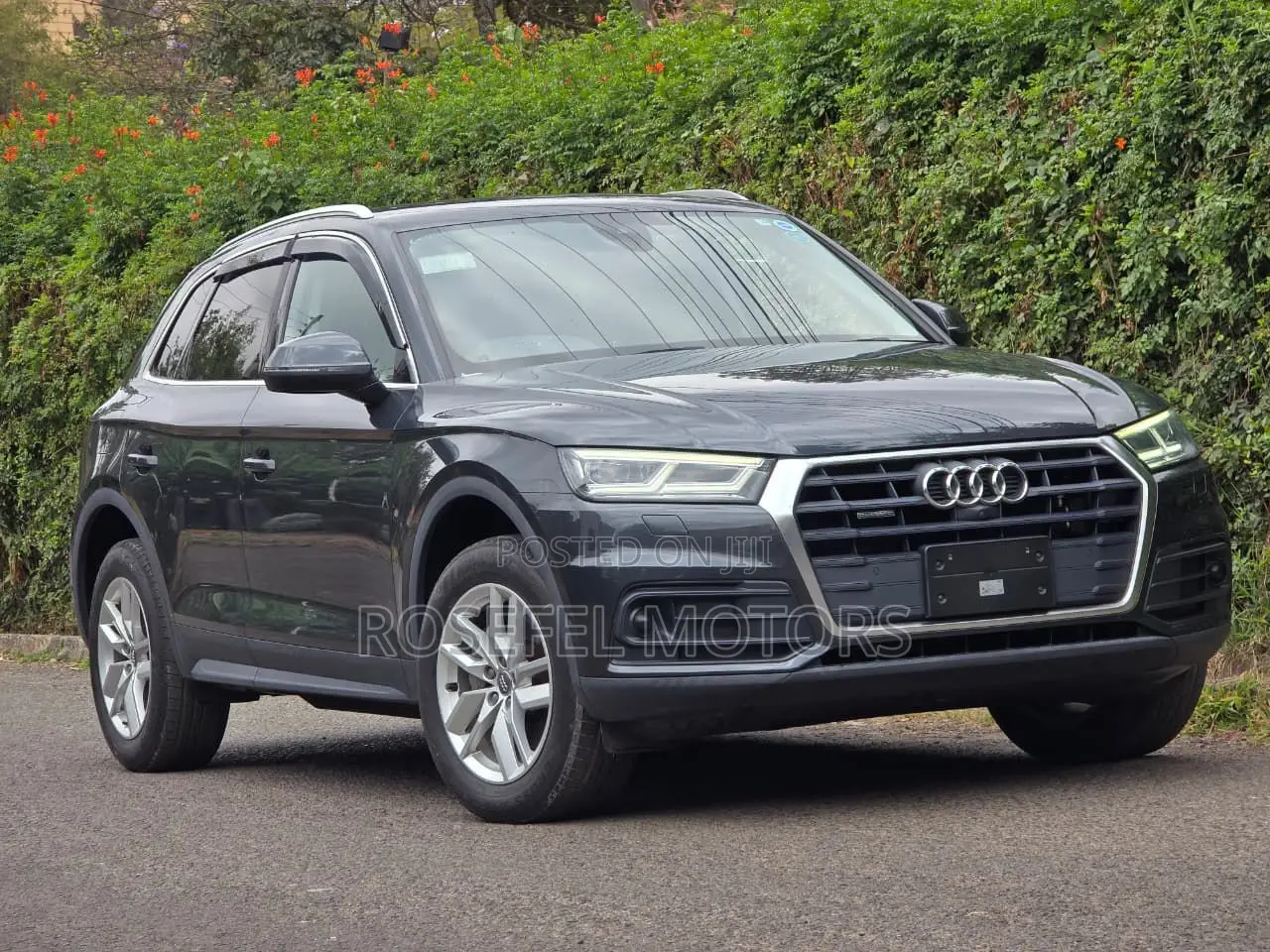 Audi Q5 2.0T Premium AWD quattro 2019 Gray