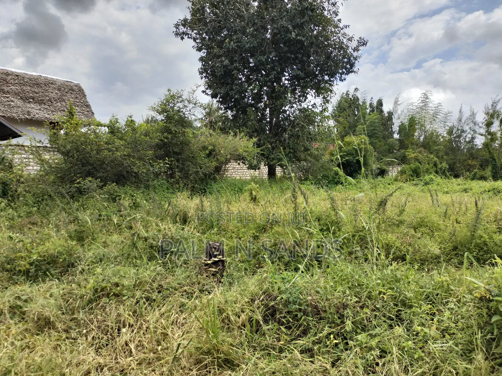 Prime Plot Up for Grabs in Diani.