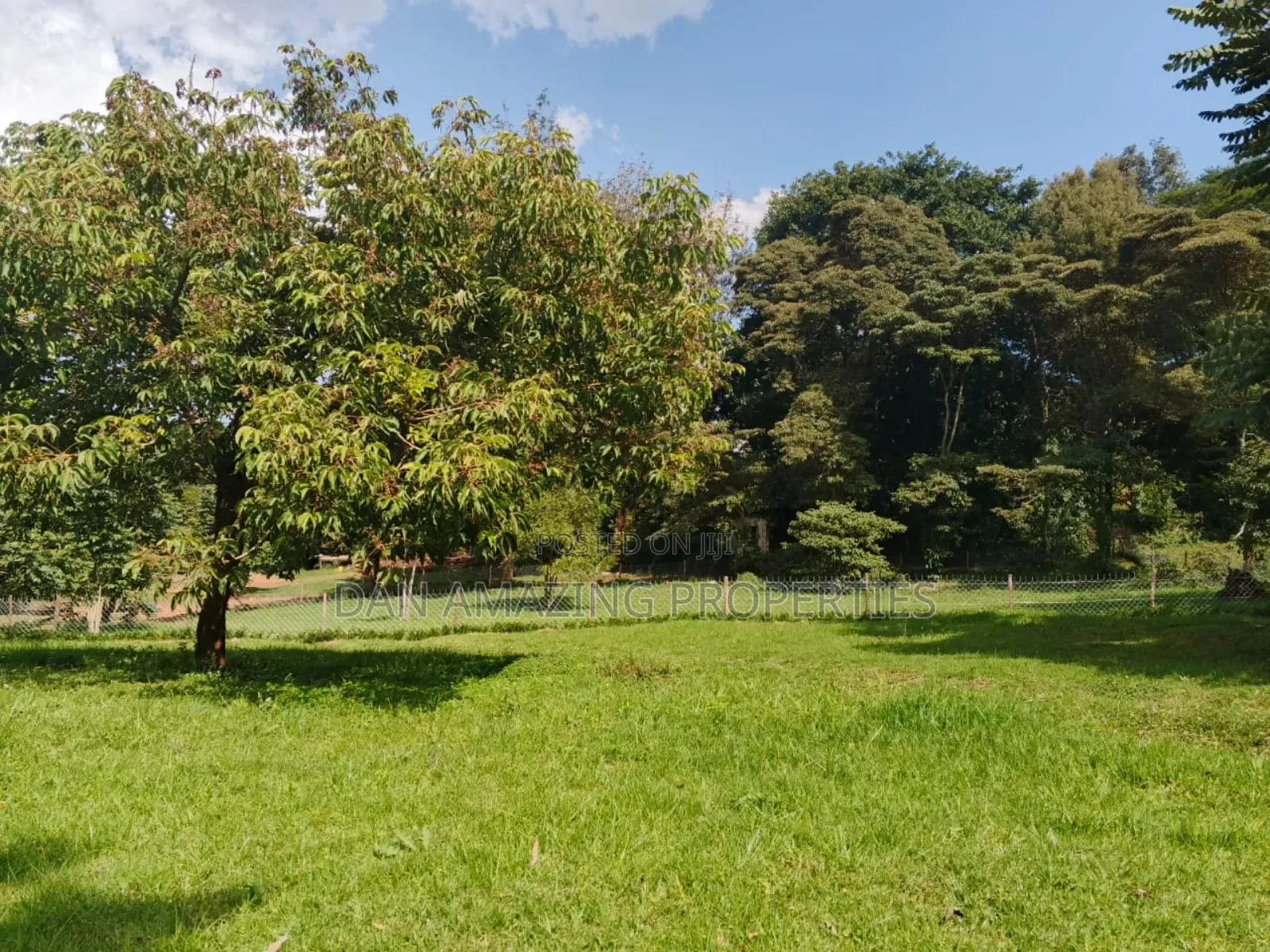 100 by 100 Fully Serviced Plots in Ngong for Sale Purely Residential