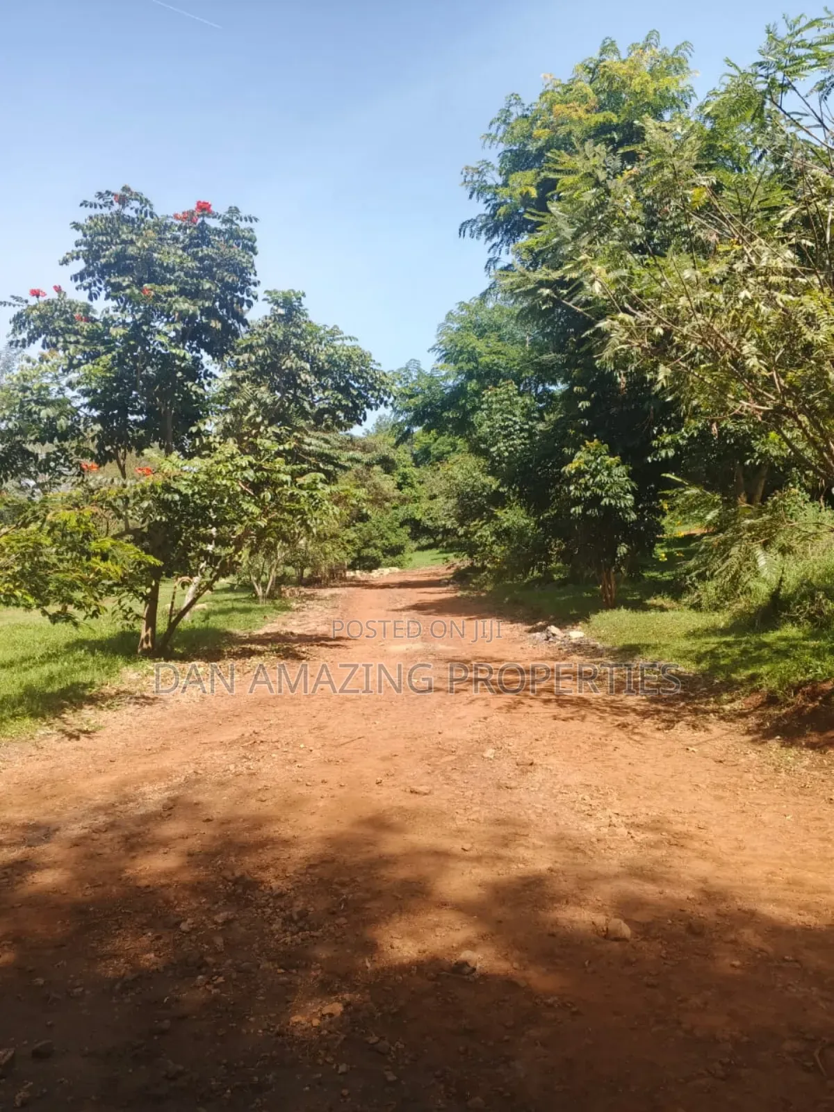 100 by 100 Fully Serviced Plots in Ngong for Sale Purely Residential