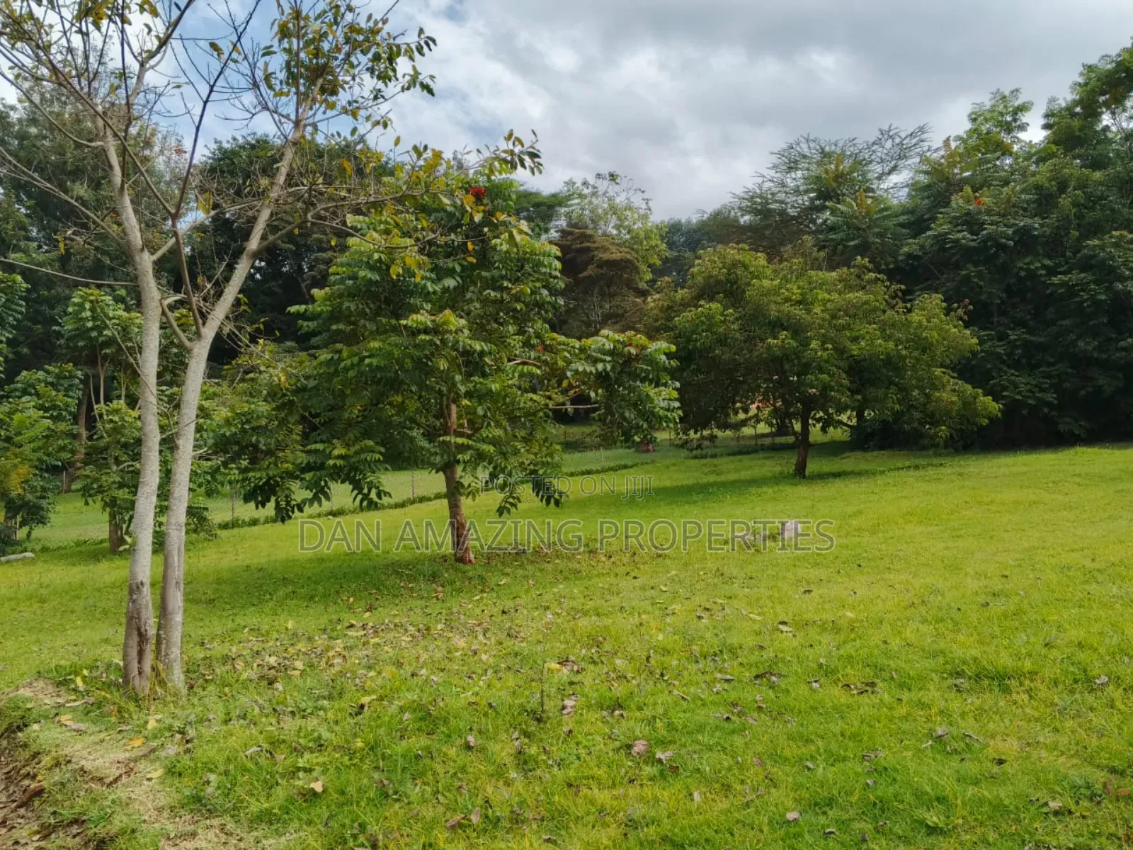100 by 100 Fully Serviced Plots in Ngong for Sale Purely Residential