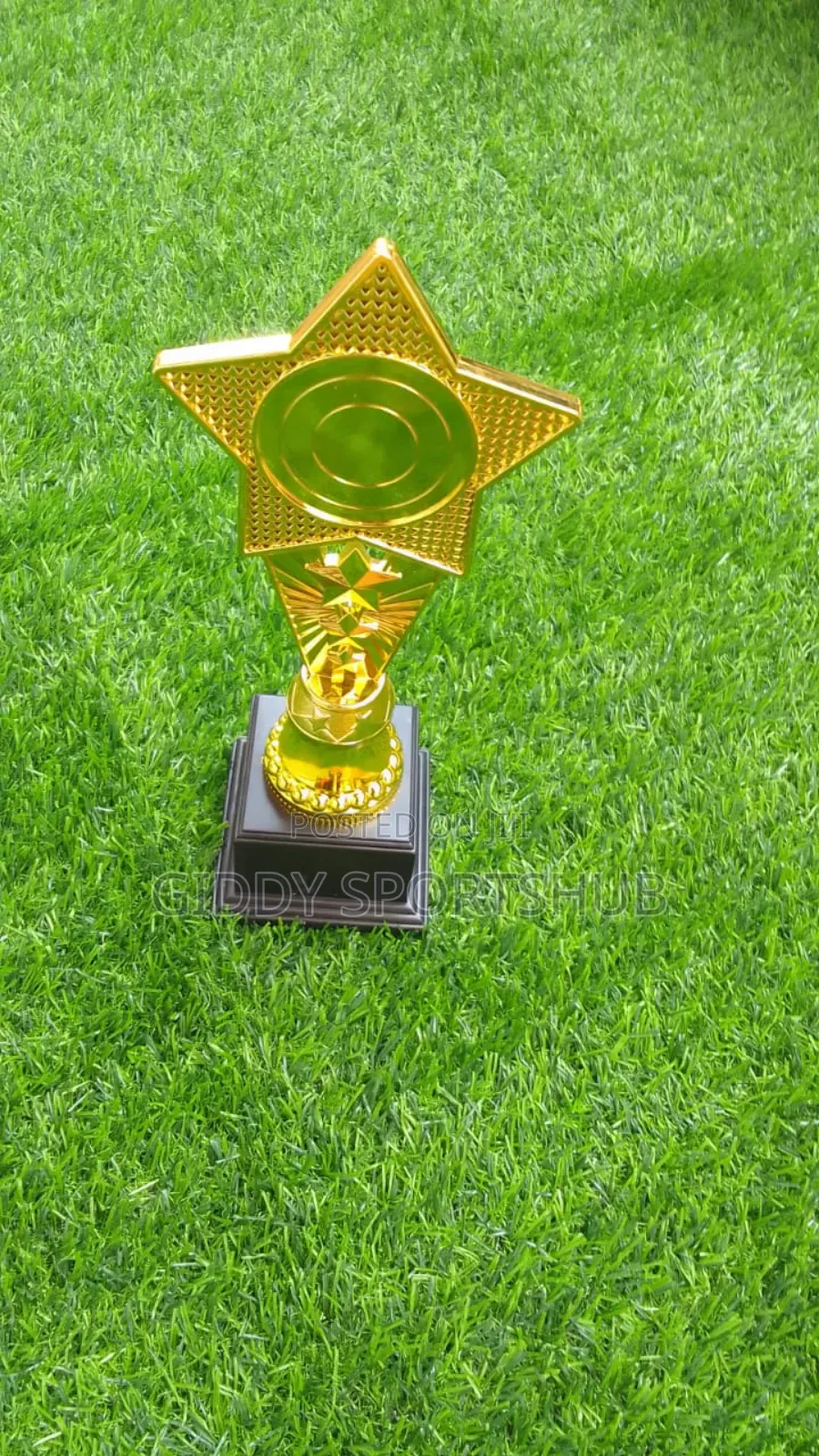 Trophy for Executive or Gift