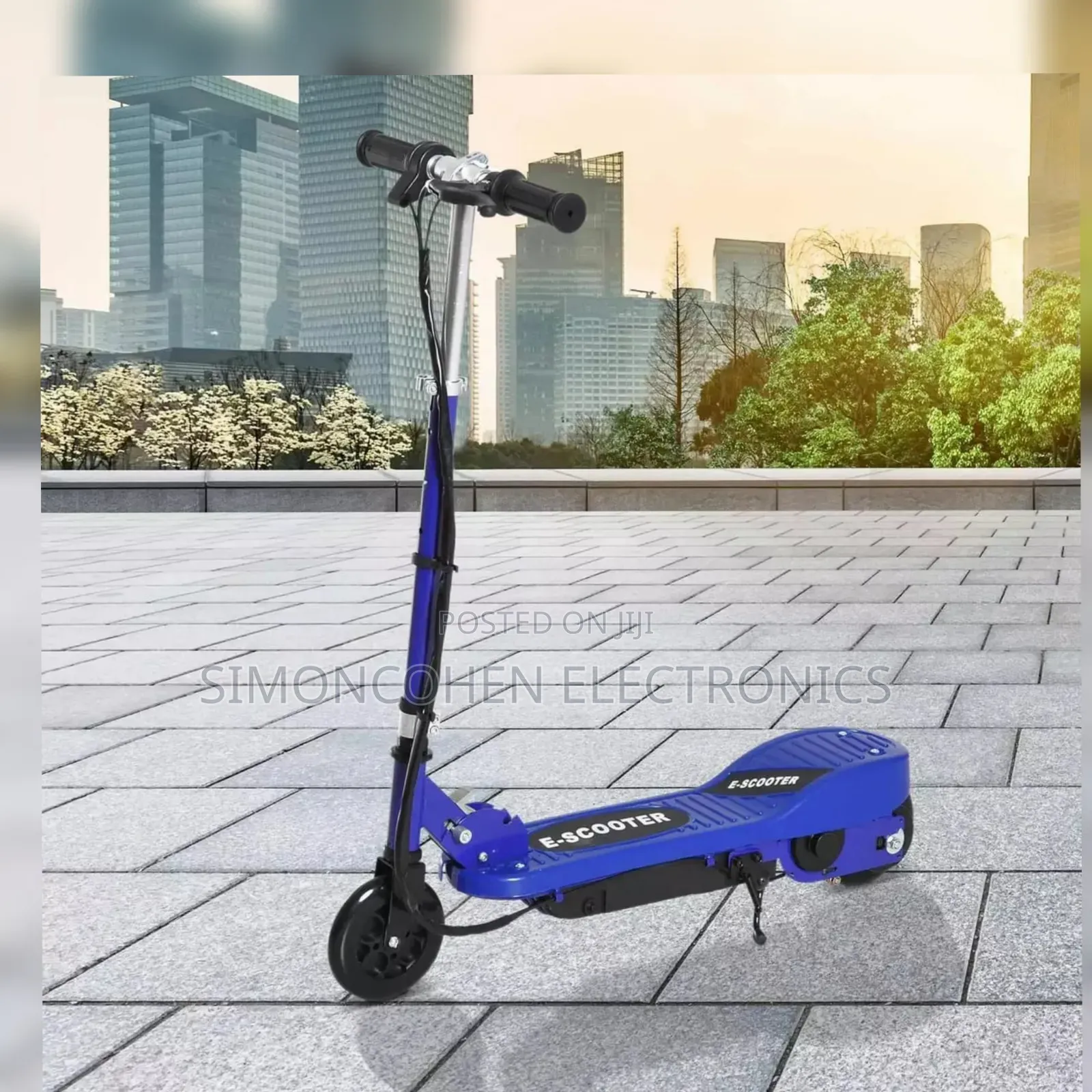 Folding Electric Scooter