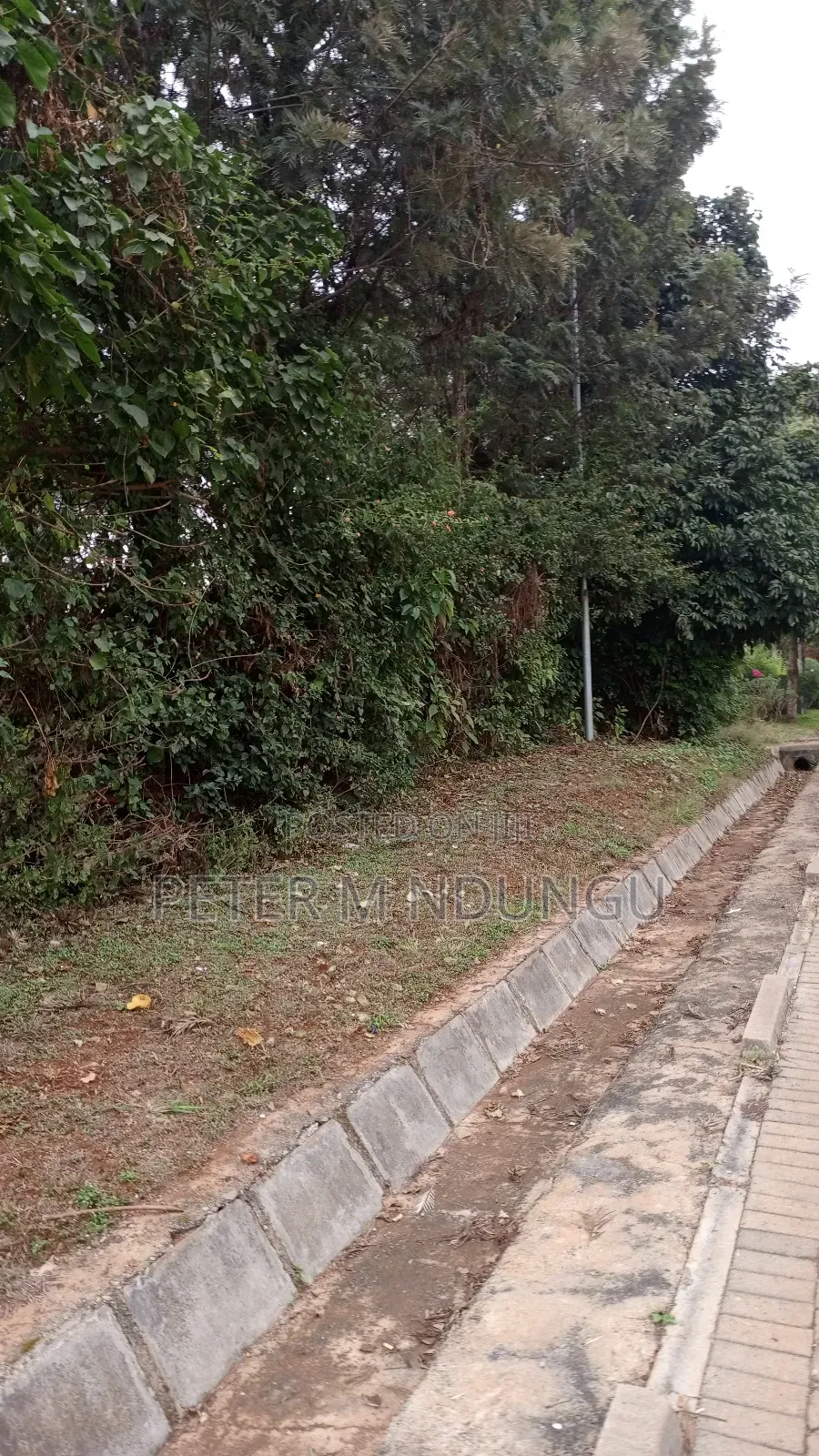Thome Residential Plot on Sale