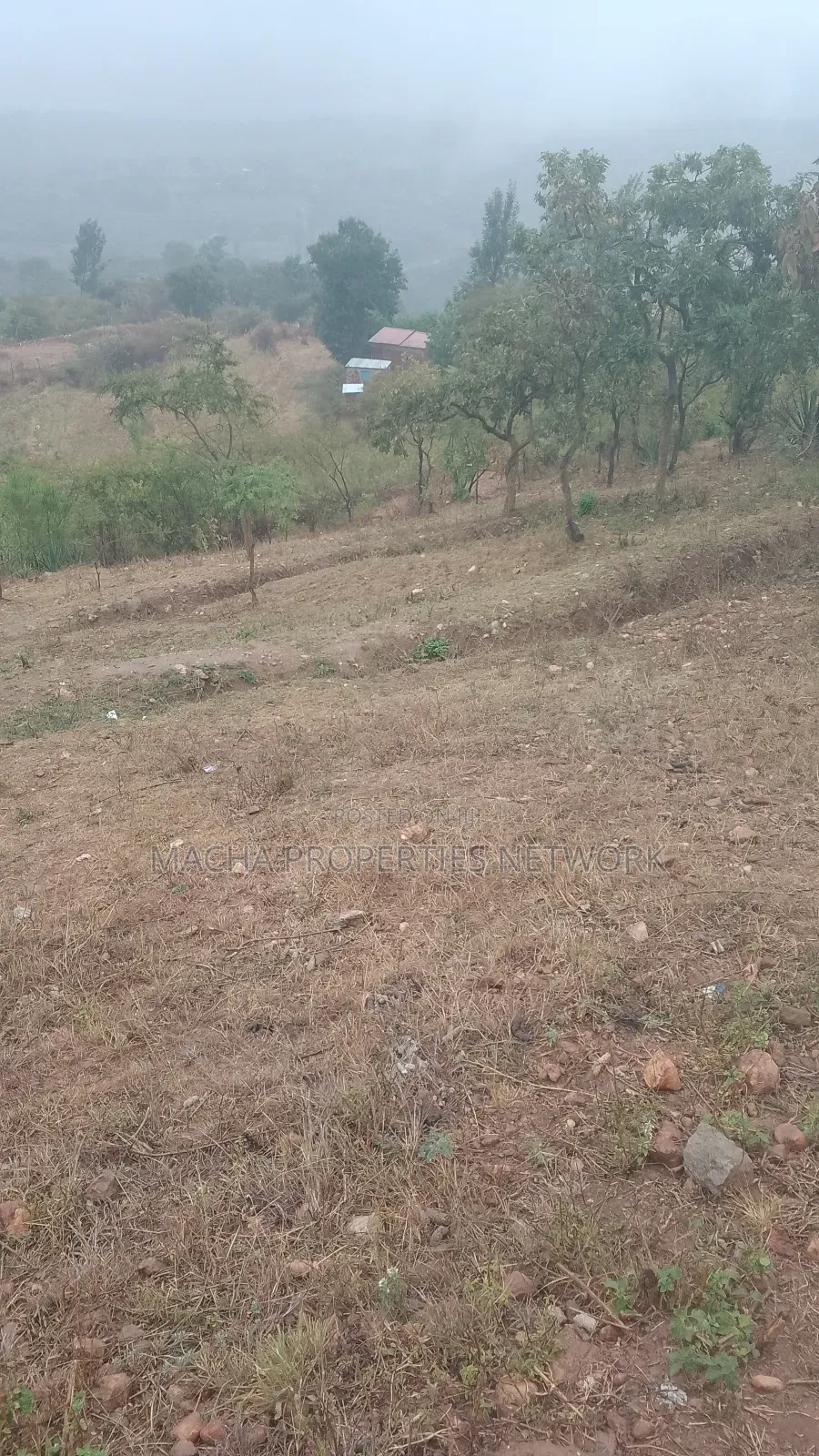 Plot 70 By 100 Ft.