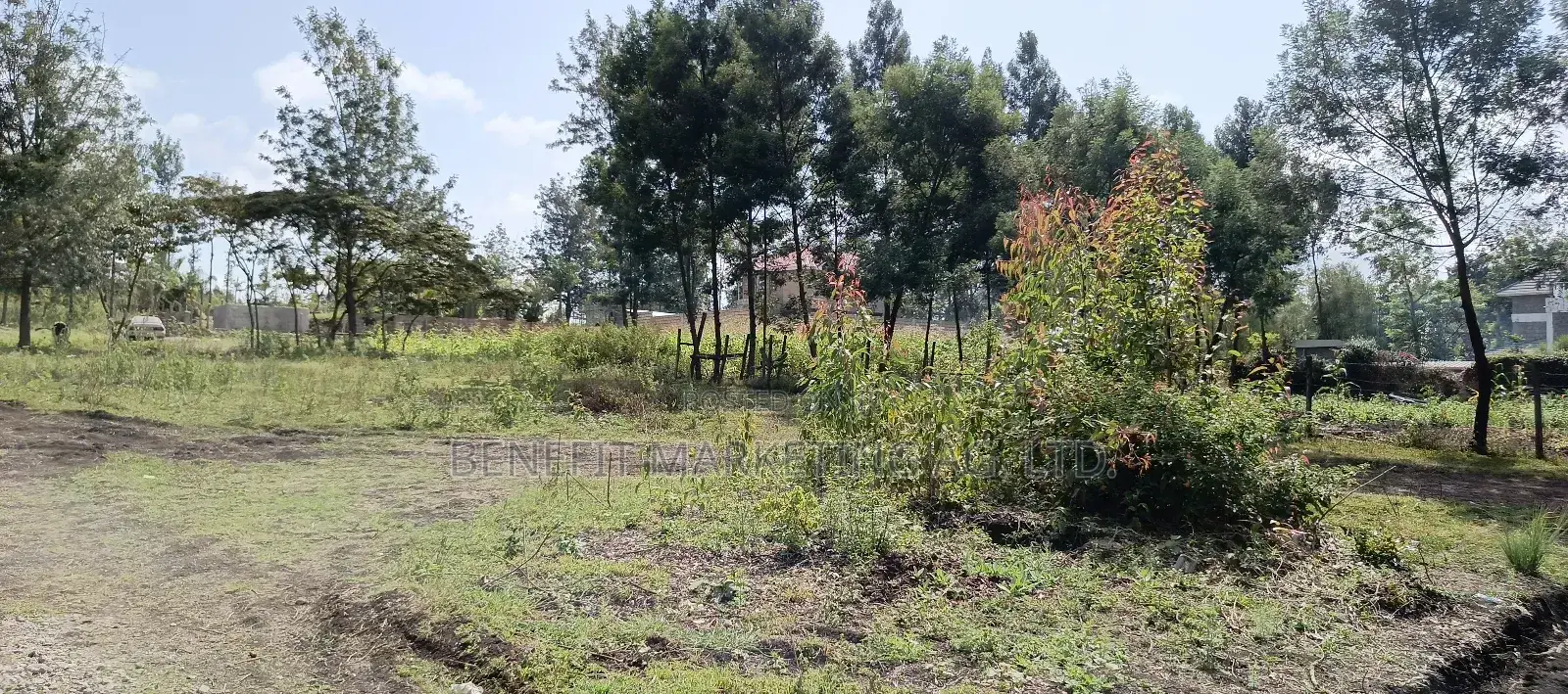Plots for Sale in Ngong Matasia, Merisho Road.