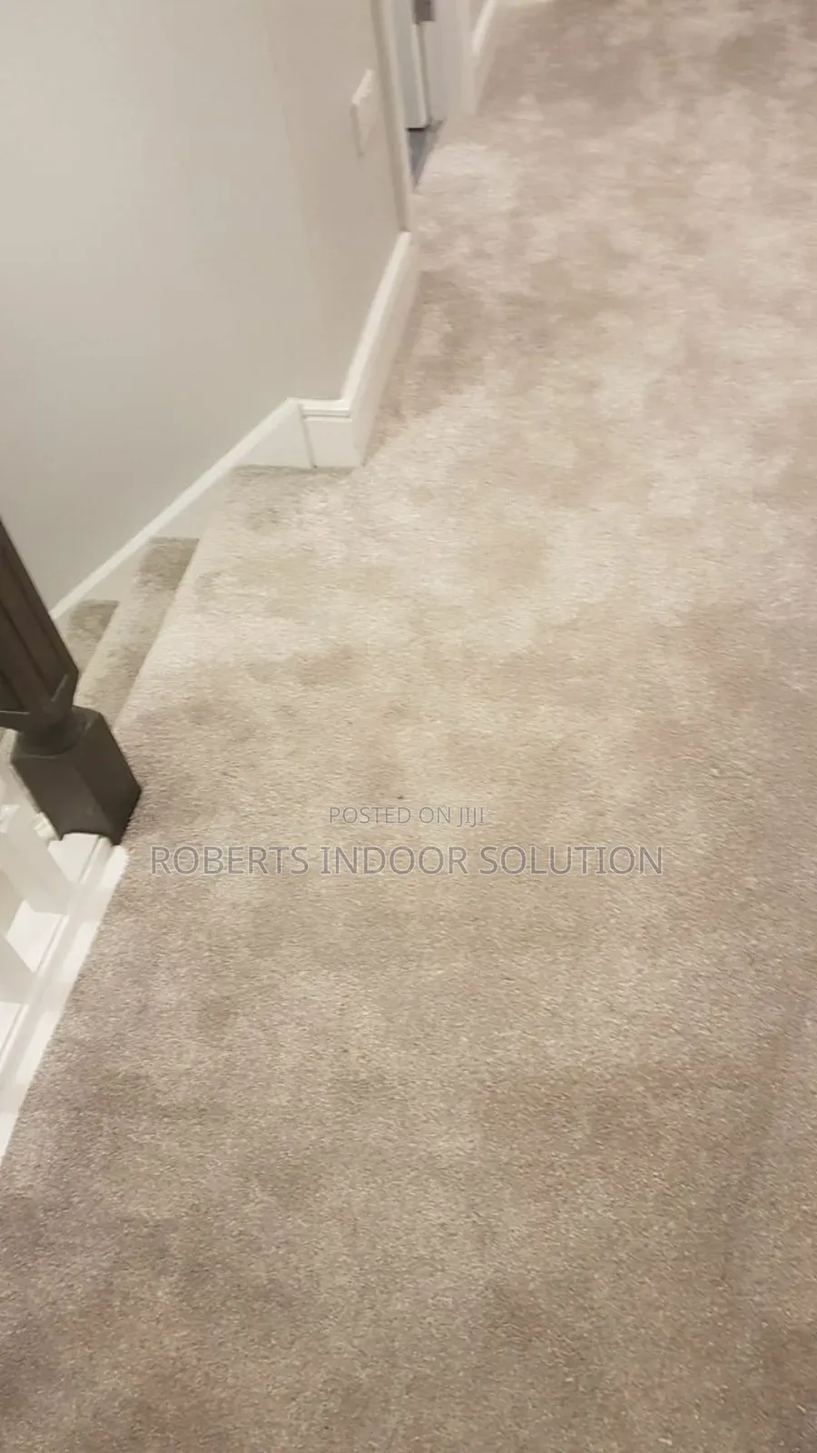 Beige Delta Carpet Free Maintenance,Easy to Clean, Durable