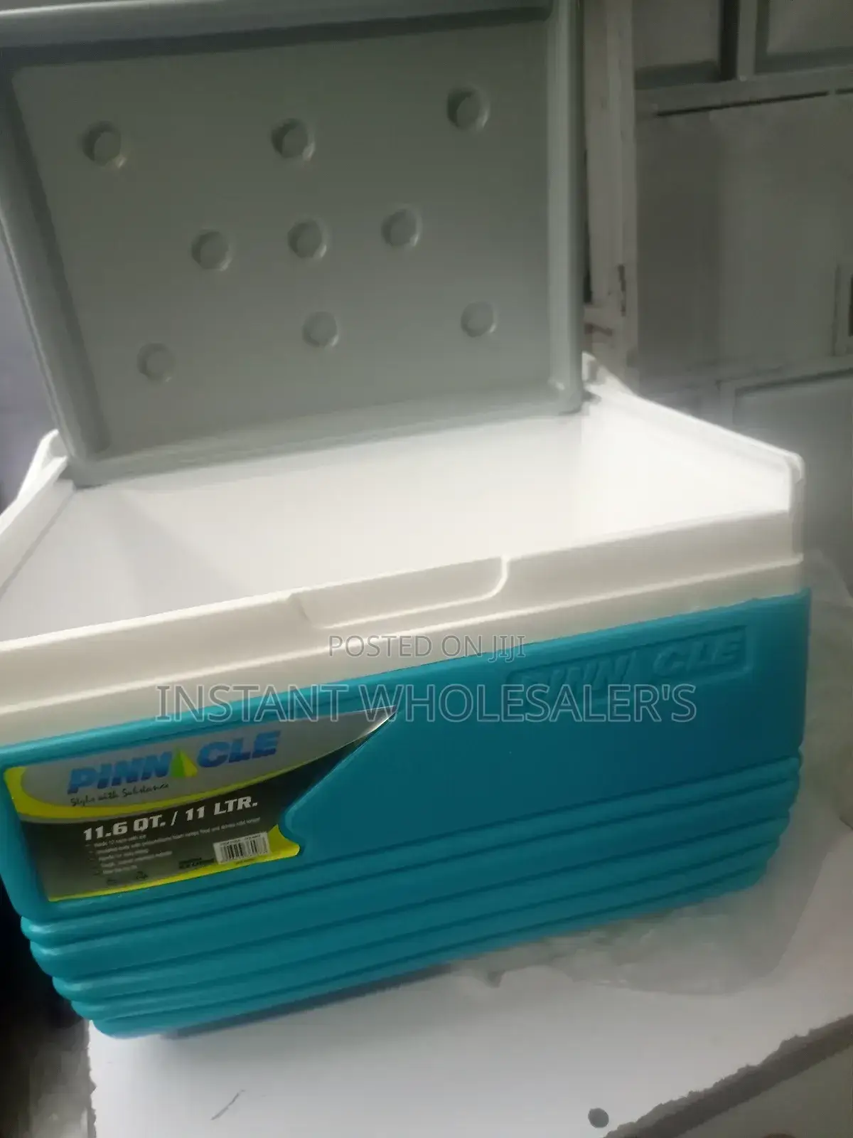 Cooler Box 11 Litres Portable