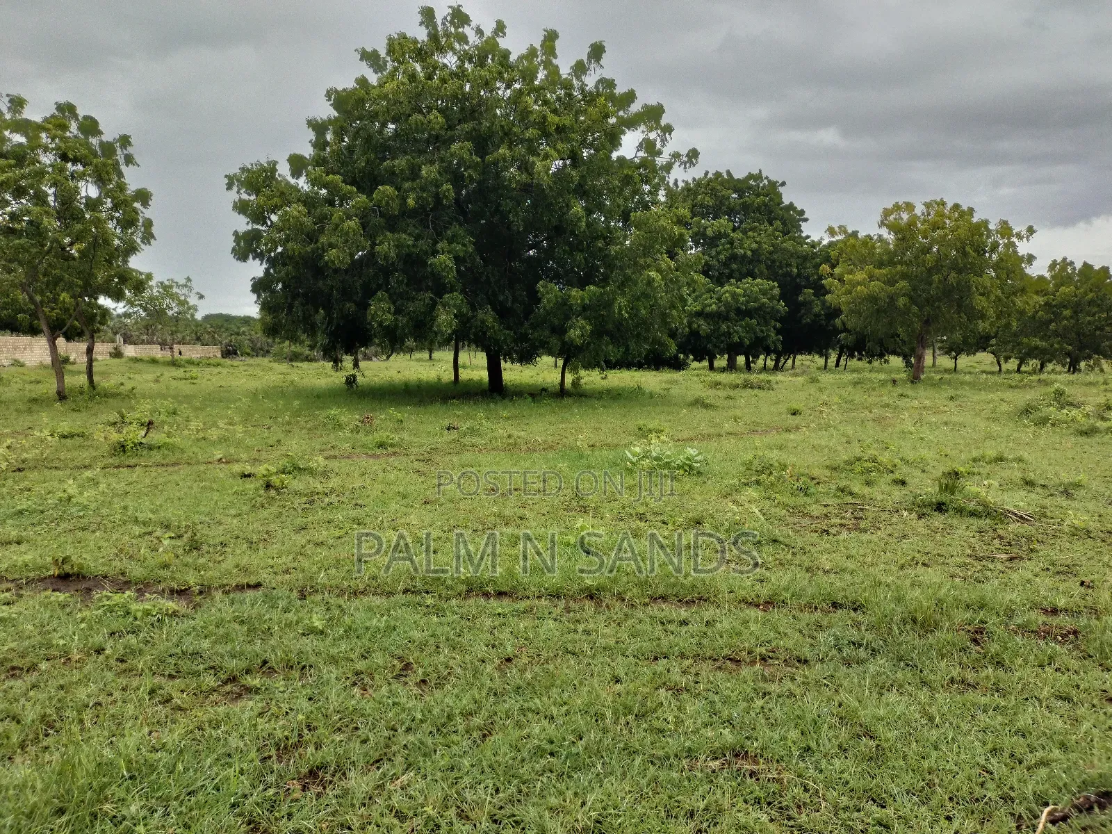 Galu Kinondo 3 Acres on Sale