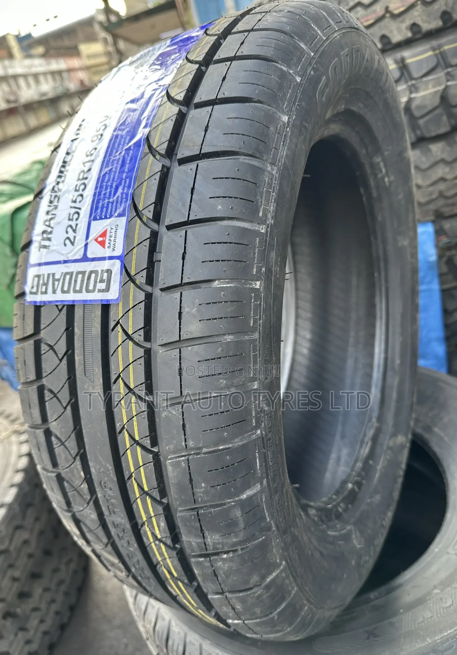 225/55r16 Goddard