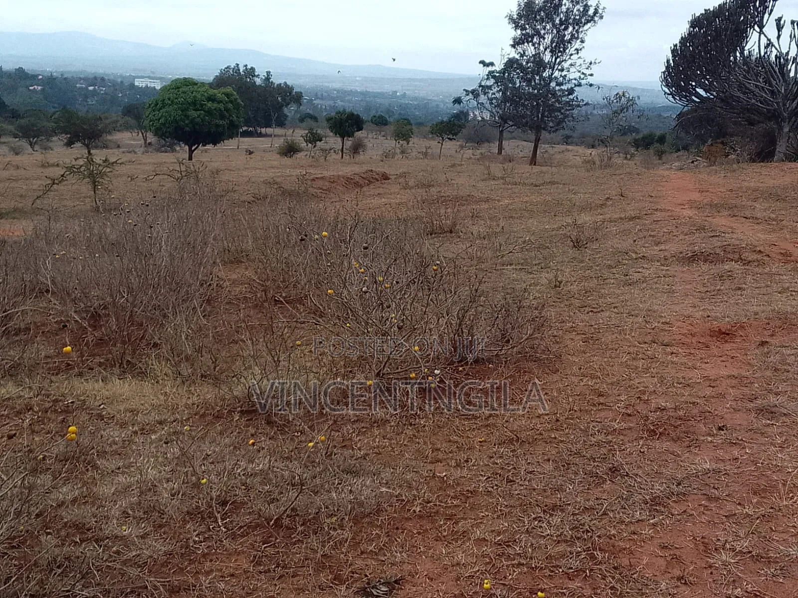 Mua Hills, Machakos 30 Acres
