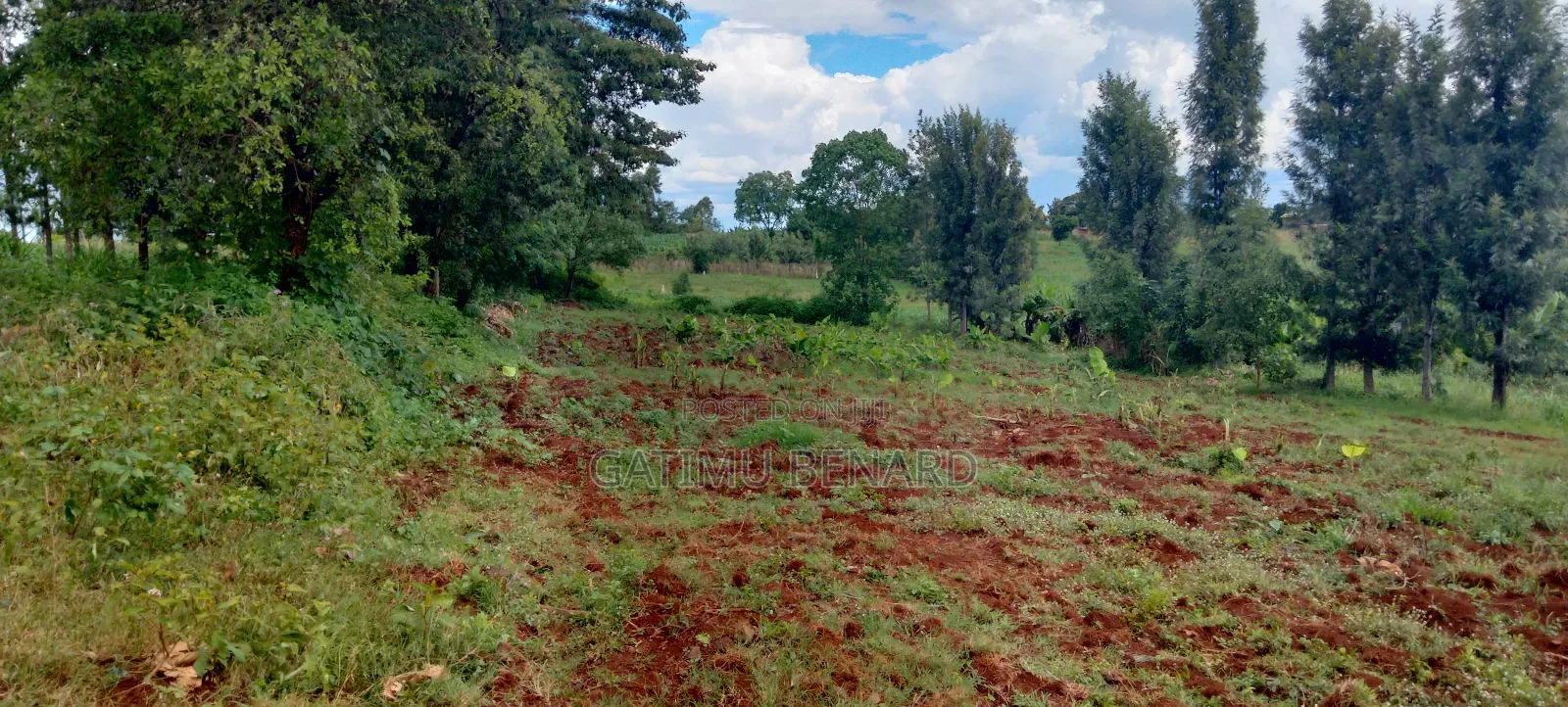 Half Acre (0.20ha) For Sale In Kirinyaga Mwea Nyangati