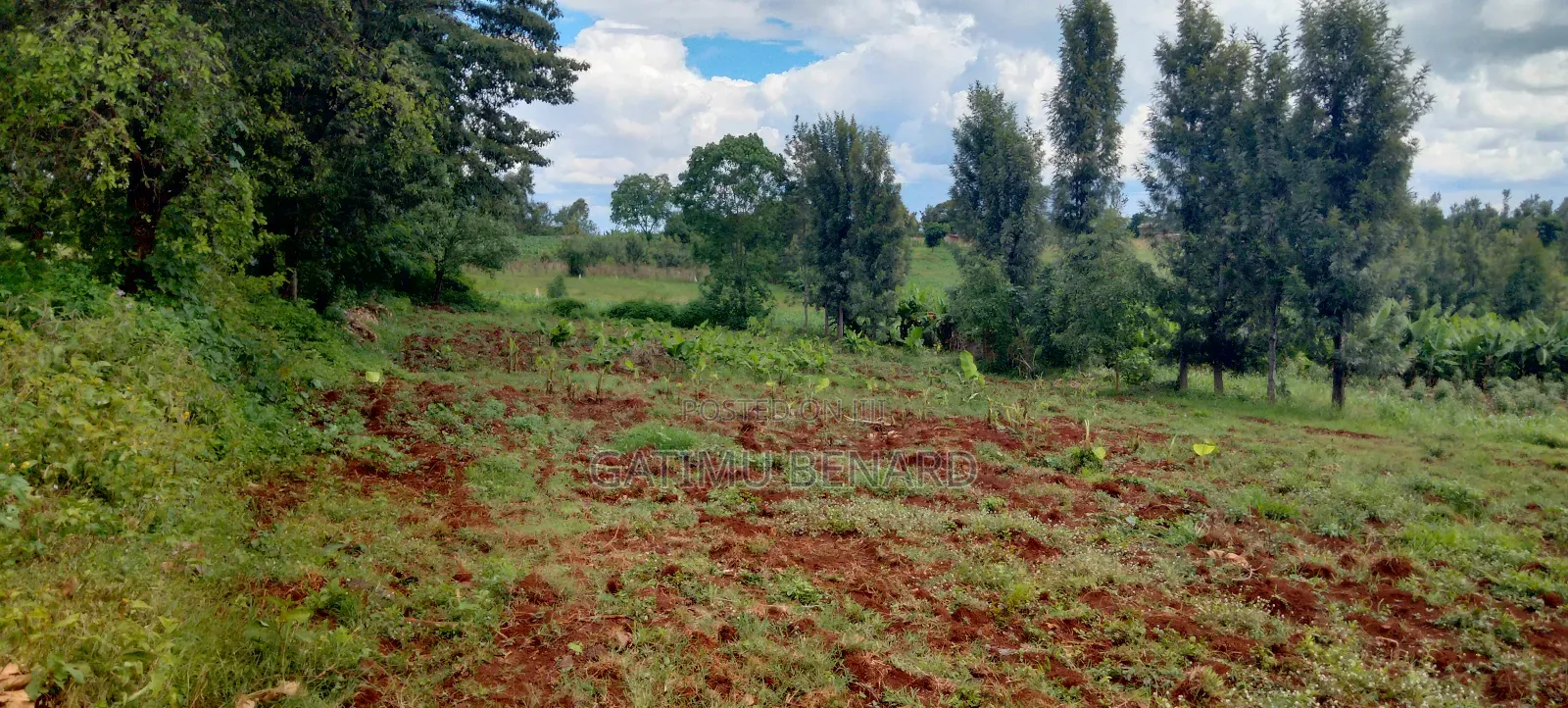 Half Acre (0.20ha) For Sale In Kirinyaga Mwea Nyangati