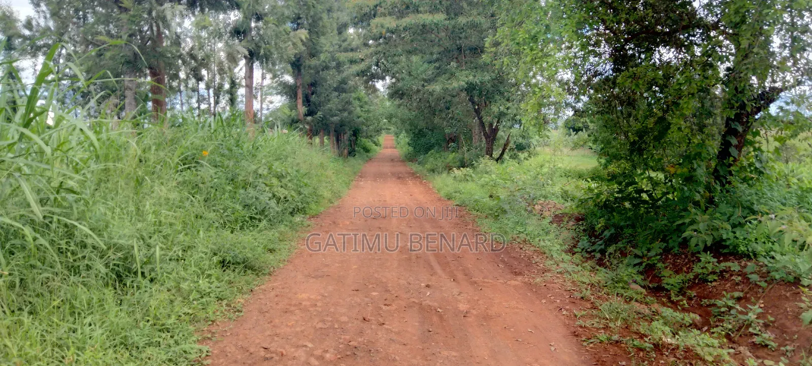 Half Acre (0.20ha) For Sale In Kirinyaga Mwea Nyangati