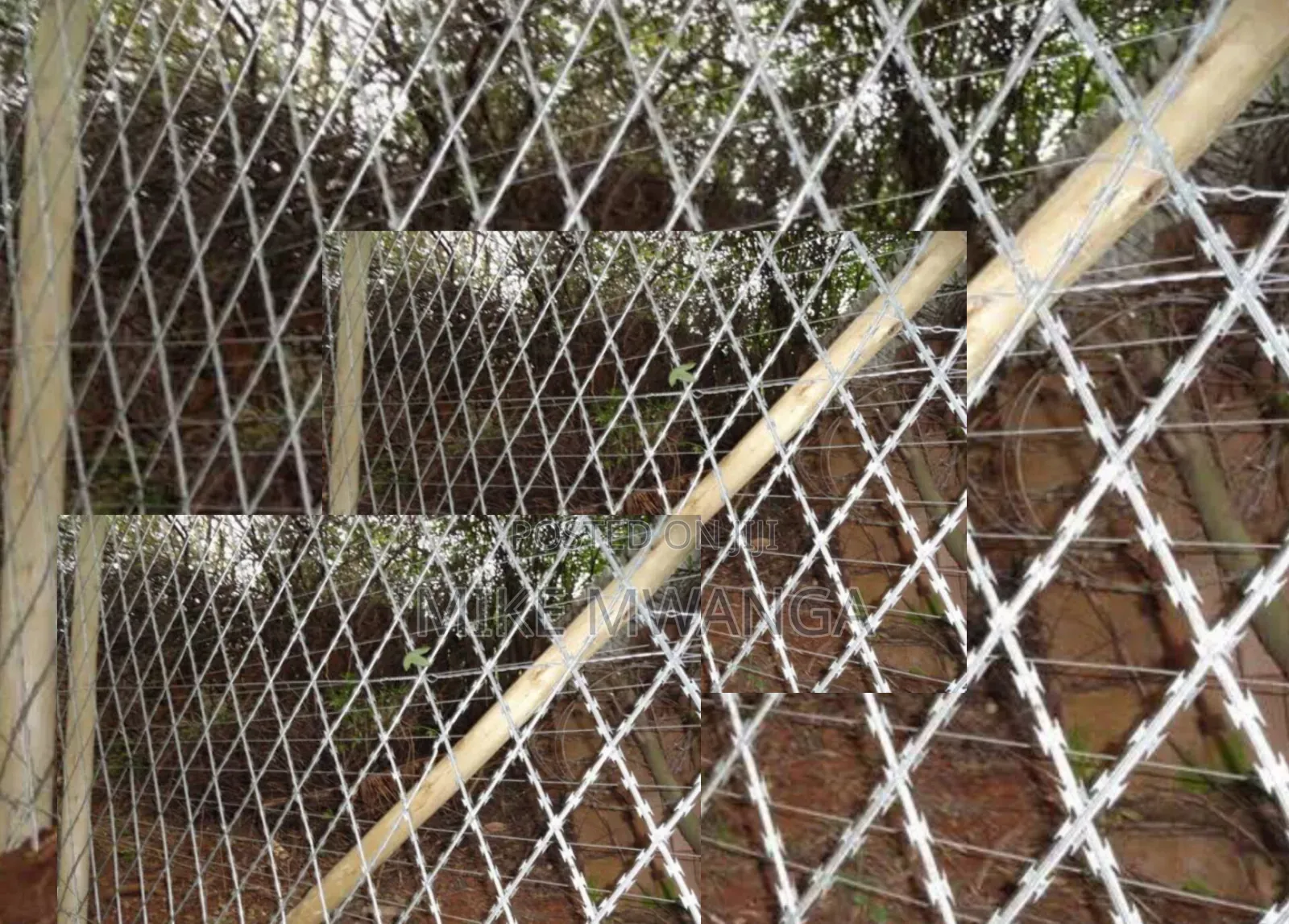 Strong, Durable 5ft High Welded Razor Mesh