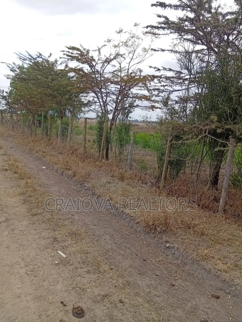 1/4 Acre for Sale in Kisaju