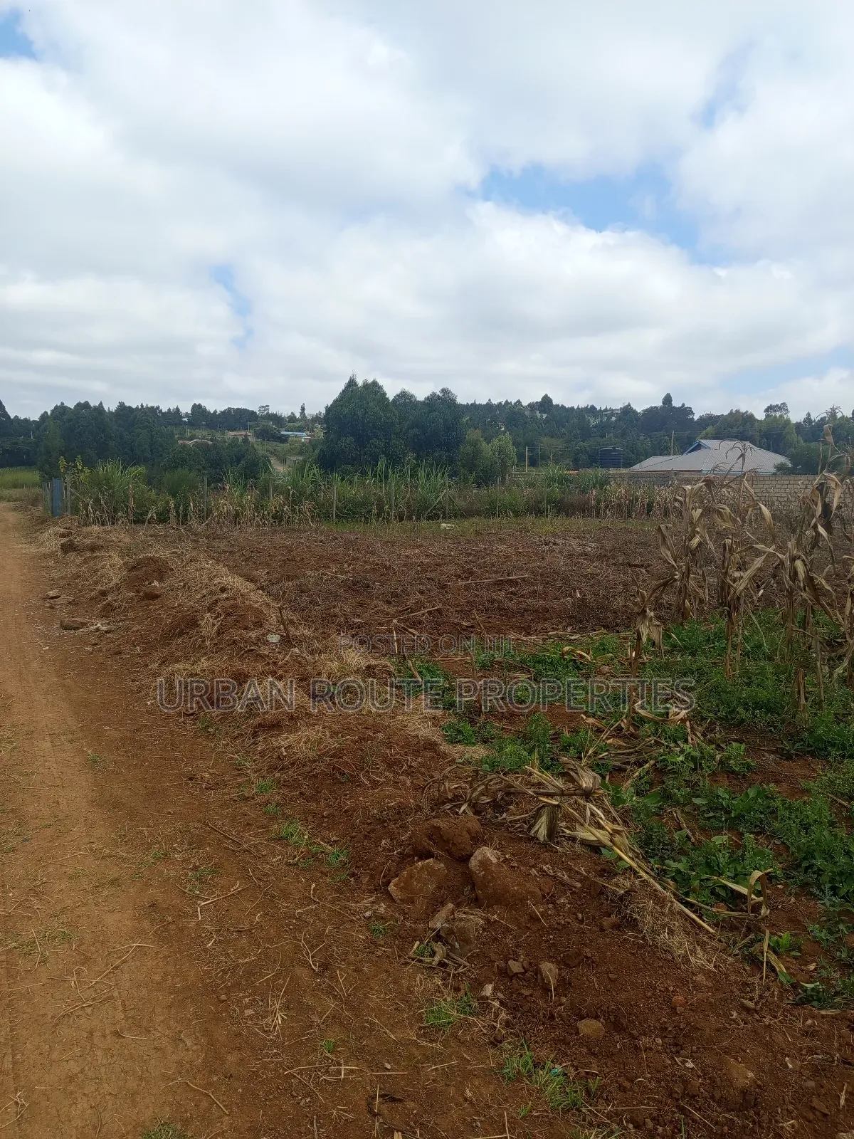 100*100 Plot for Sale
