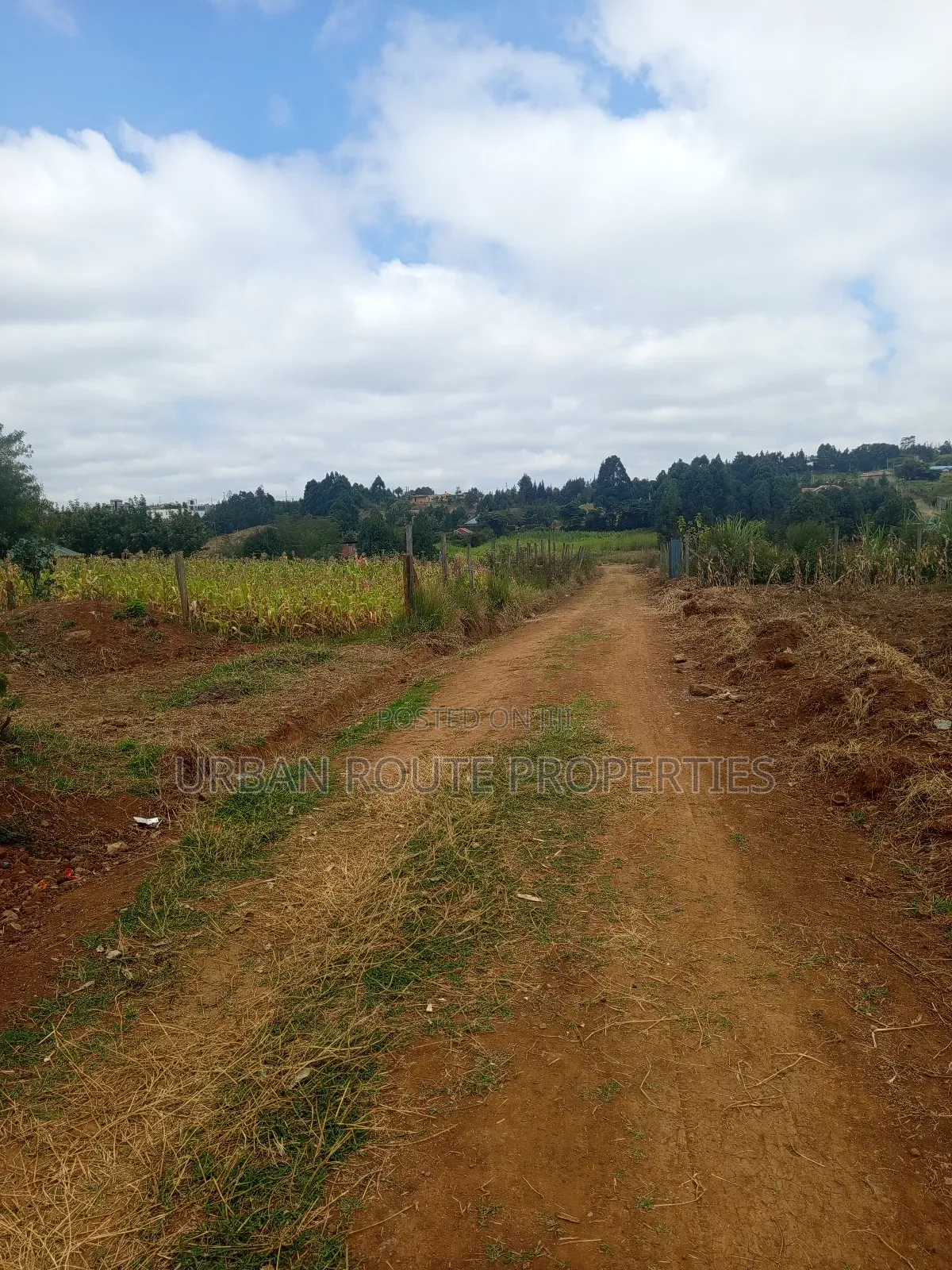 100*100 Plot for Sale