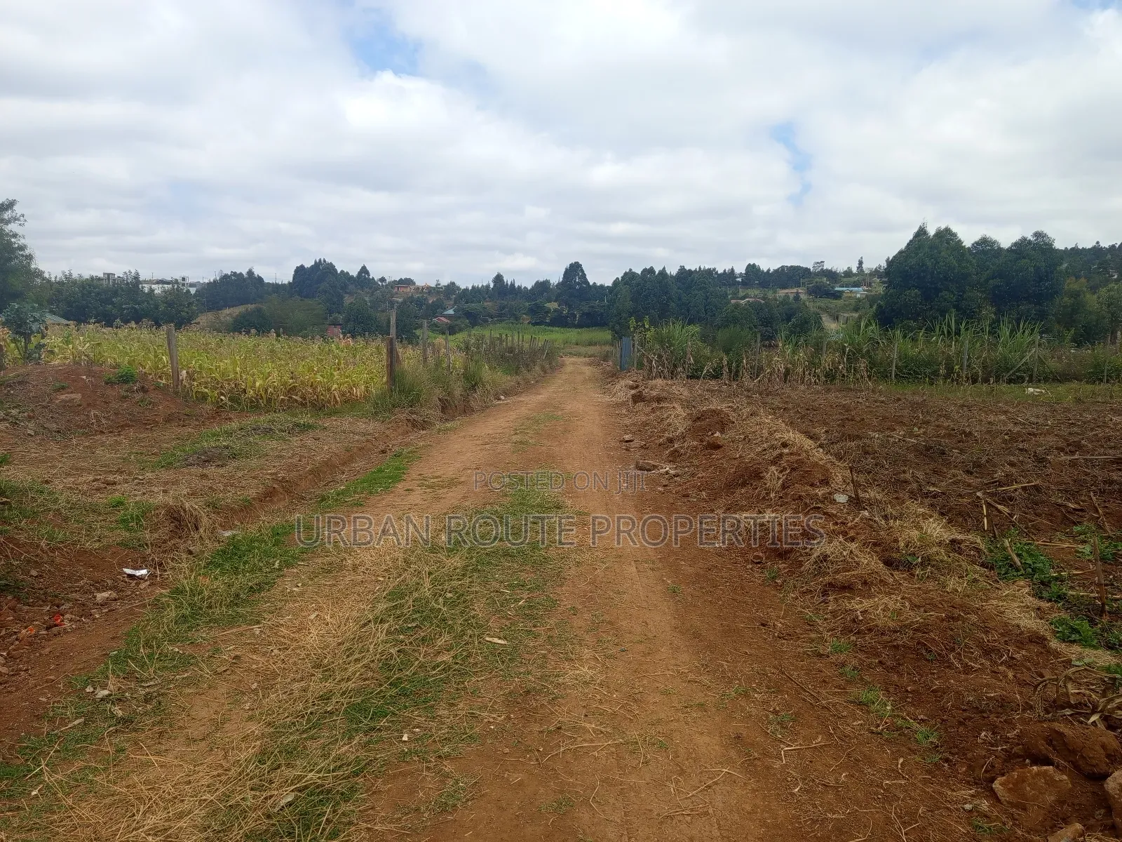 100*100 Plot for Sale