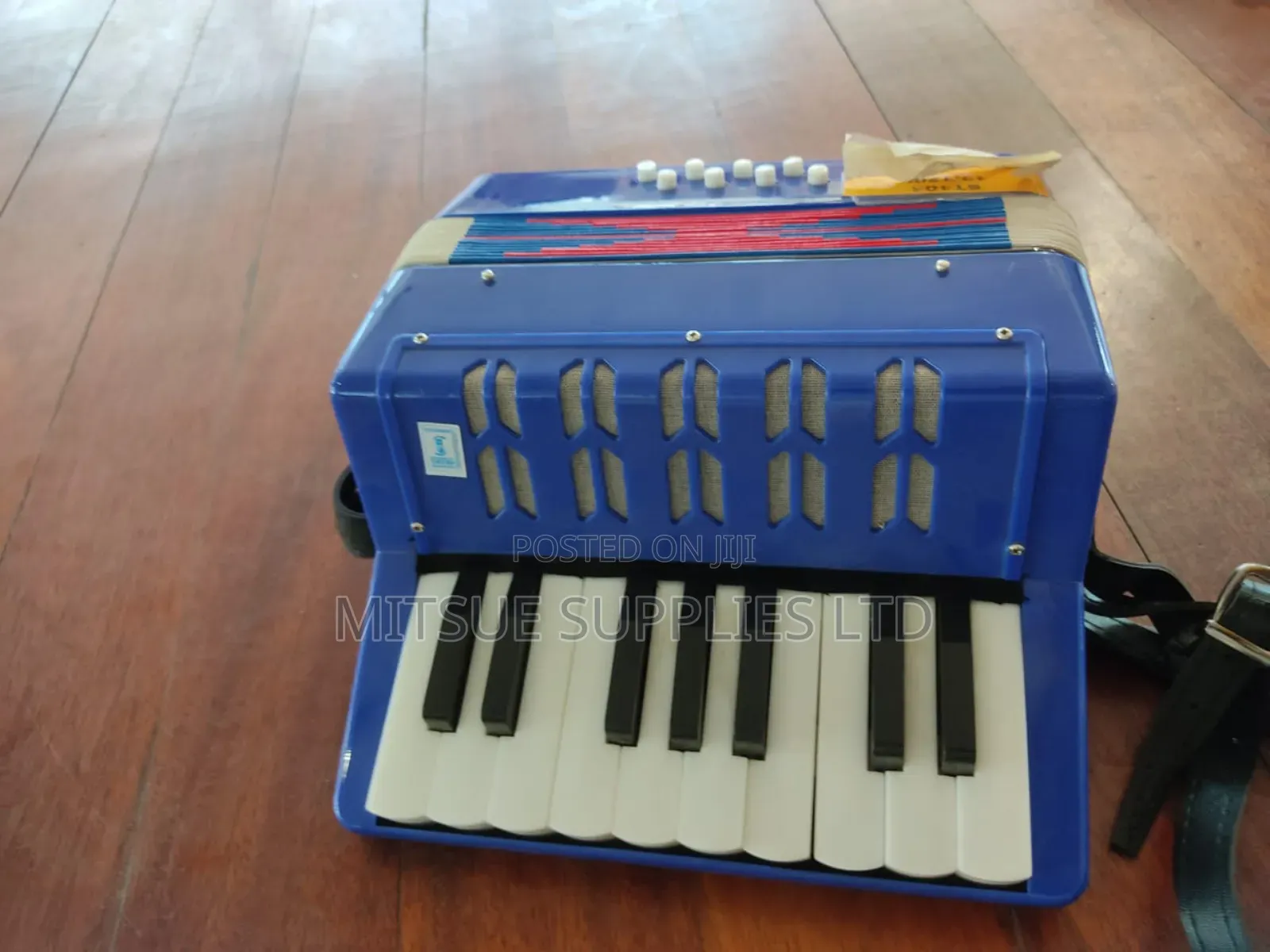 Accordion 8bs-17key Musical Instrument Good for Polka,Tango,Zydeco Etc