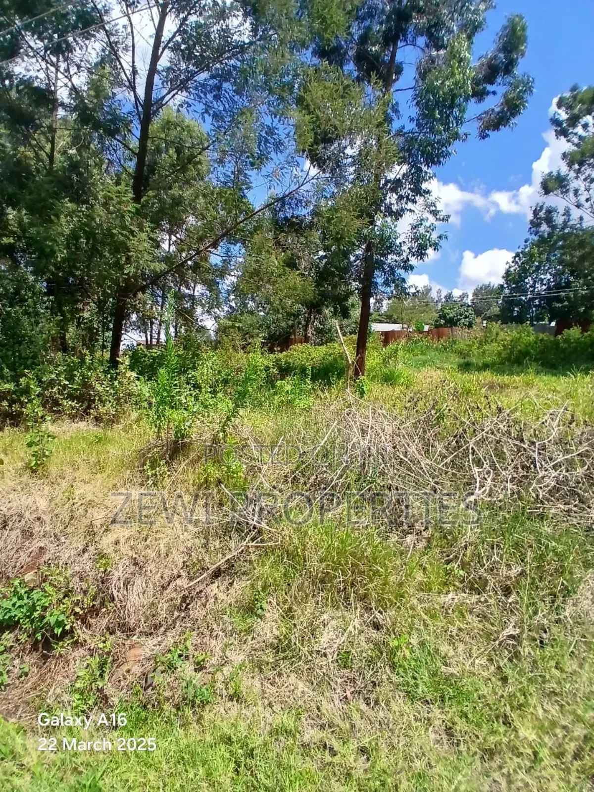Quarter Acre Ngong