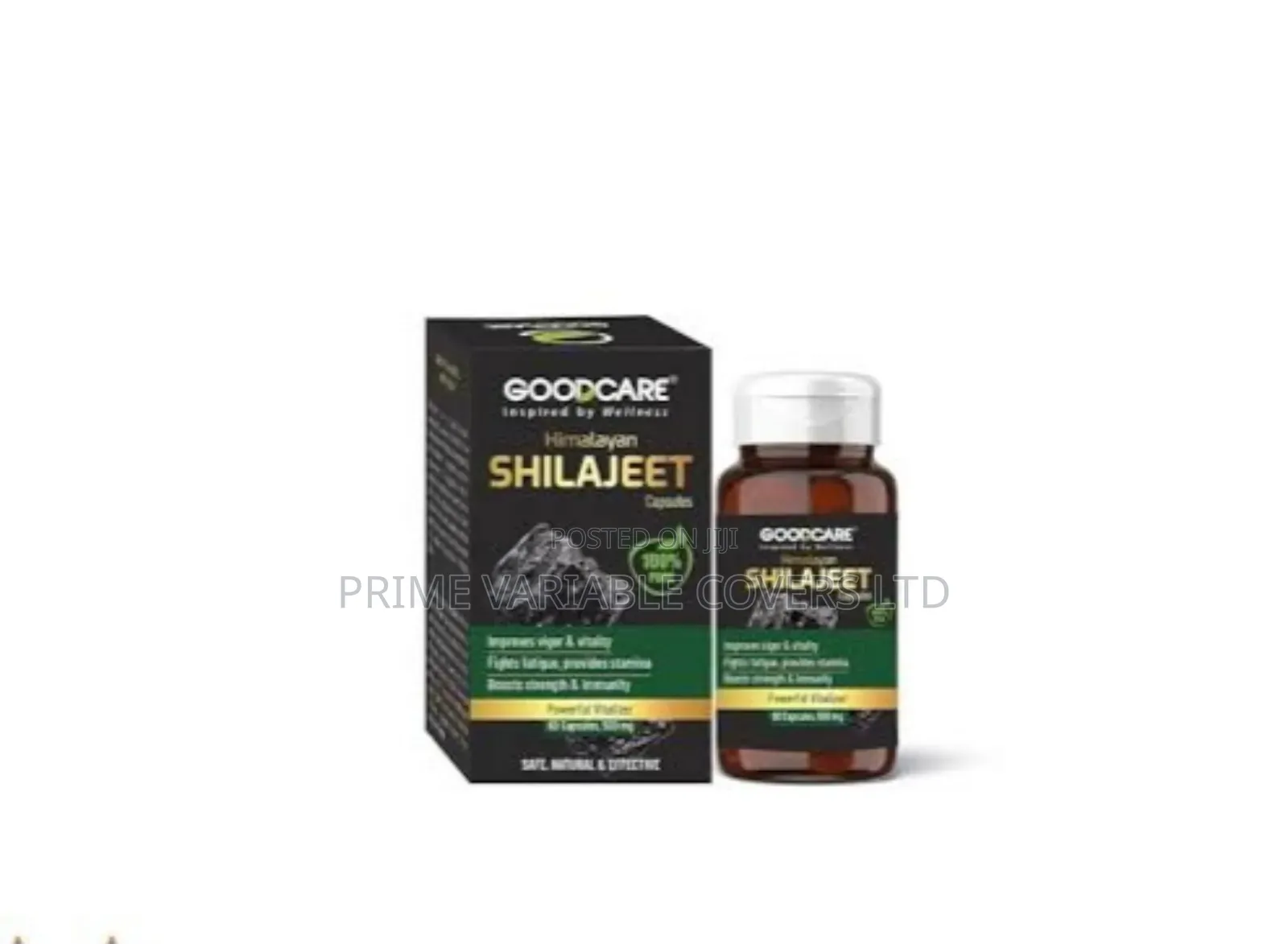 Shilajeet Support Brain Health Memory Healthy Aging With Antioxidants