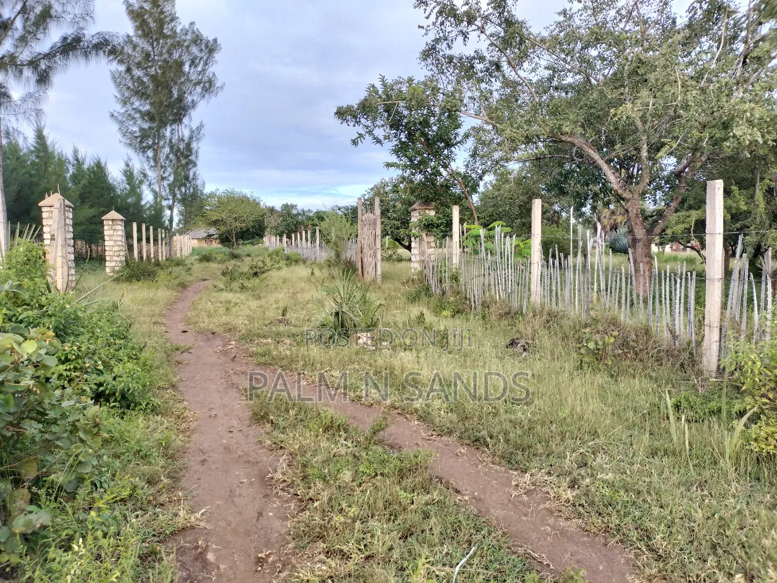 9 Acre Msambweni Beach Property