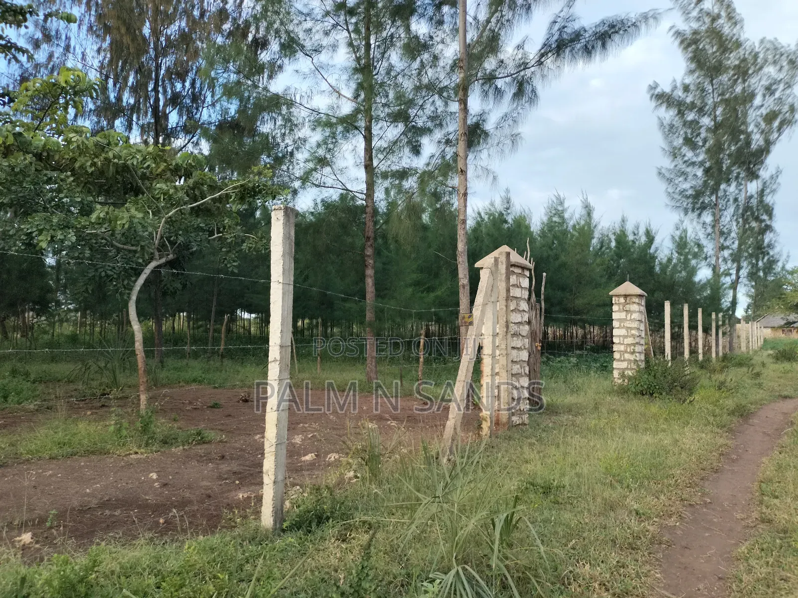 9 Acre Msambweni Beach Property