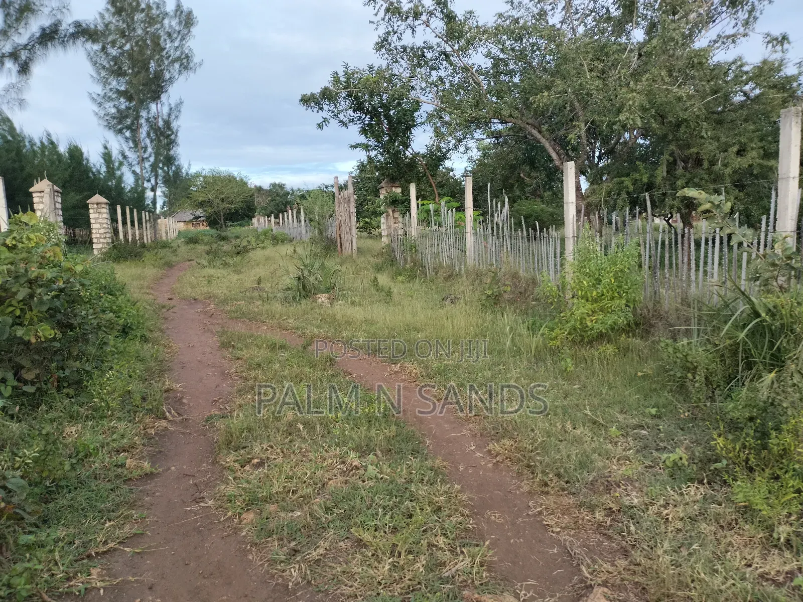 9 Acre Msambweni Beach Property