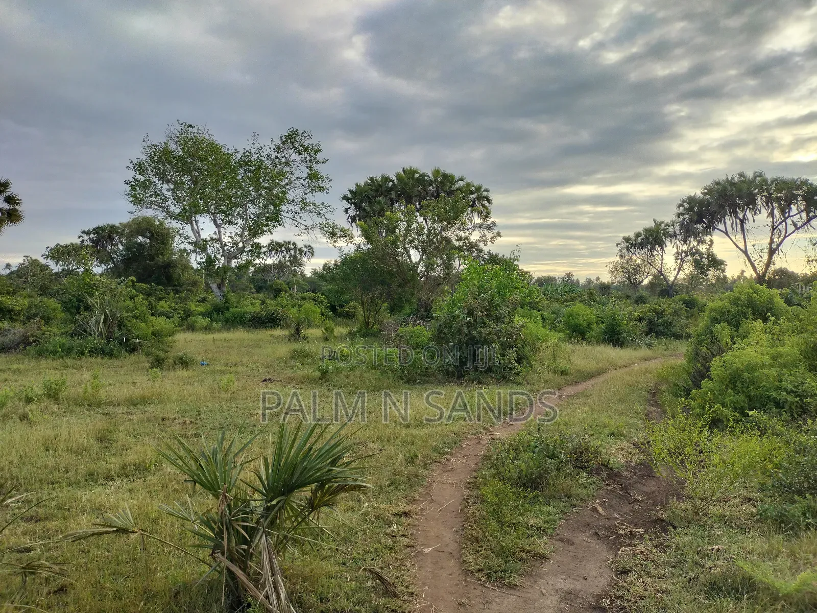 9 Acre Msambweni Beach Property