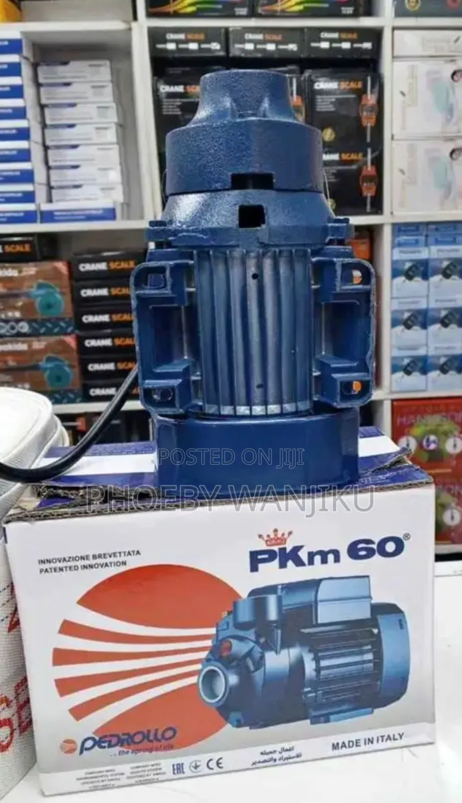 Surface Water Pump/Qb60 Pedrollo Water Pump