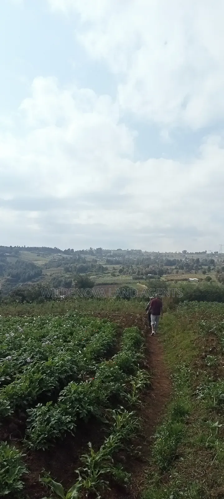 Land on Sale at Kahuho Flyover Naivasha