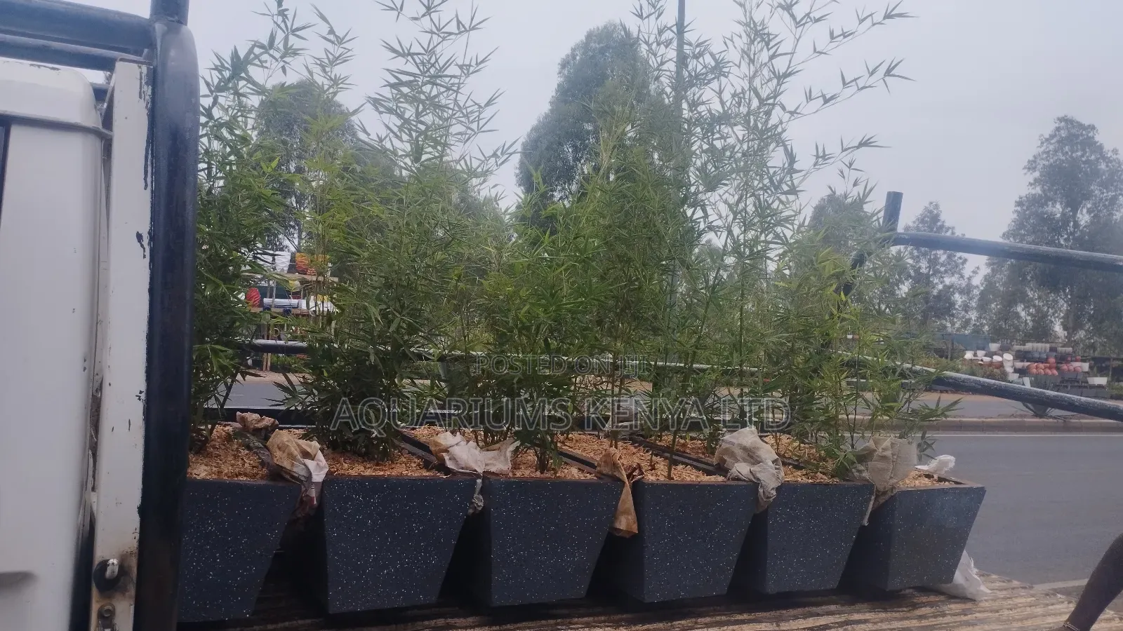 Bamboo Troughs, Troughs With 2 Bags