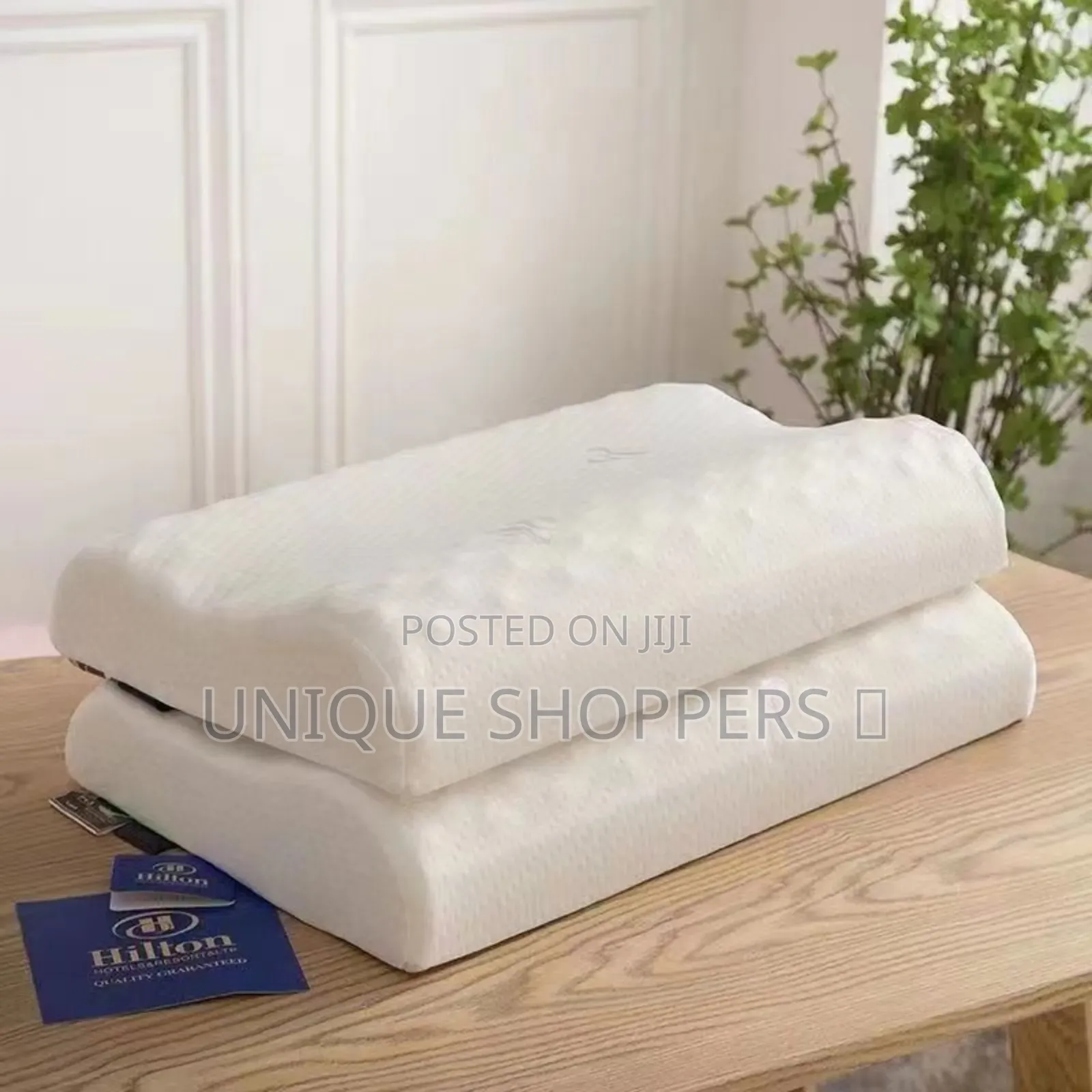High Quality Latex Orthopedic Pillows