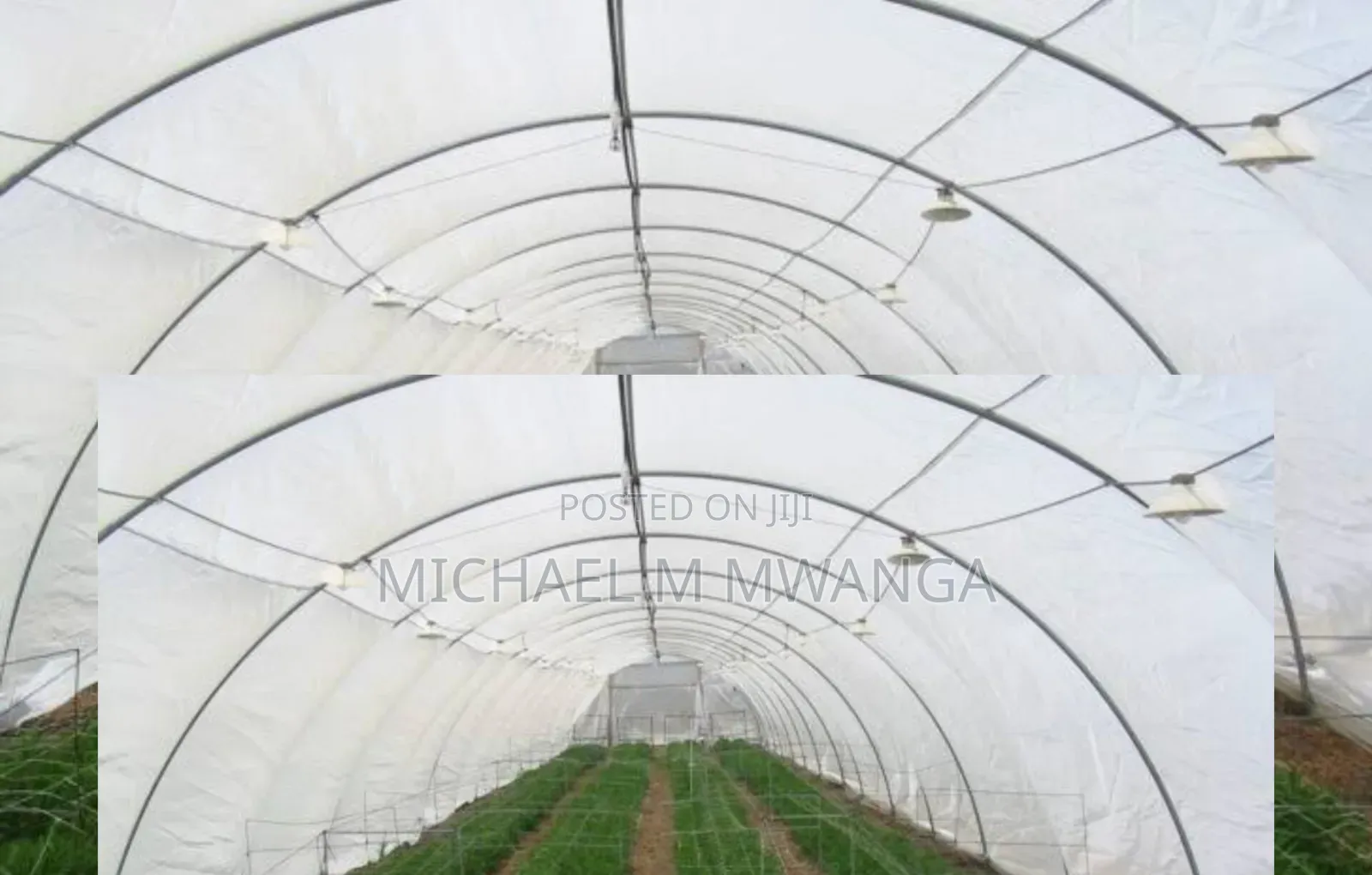 Protection Insect Net