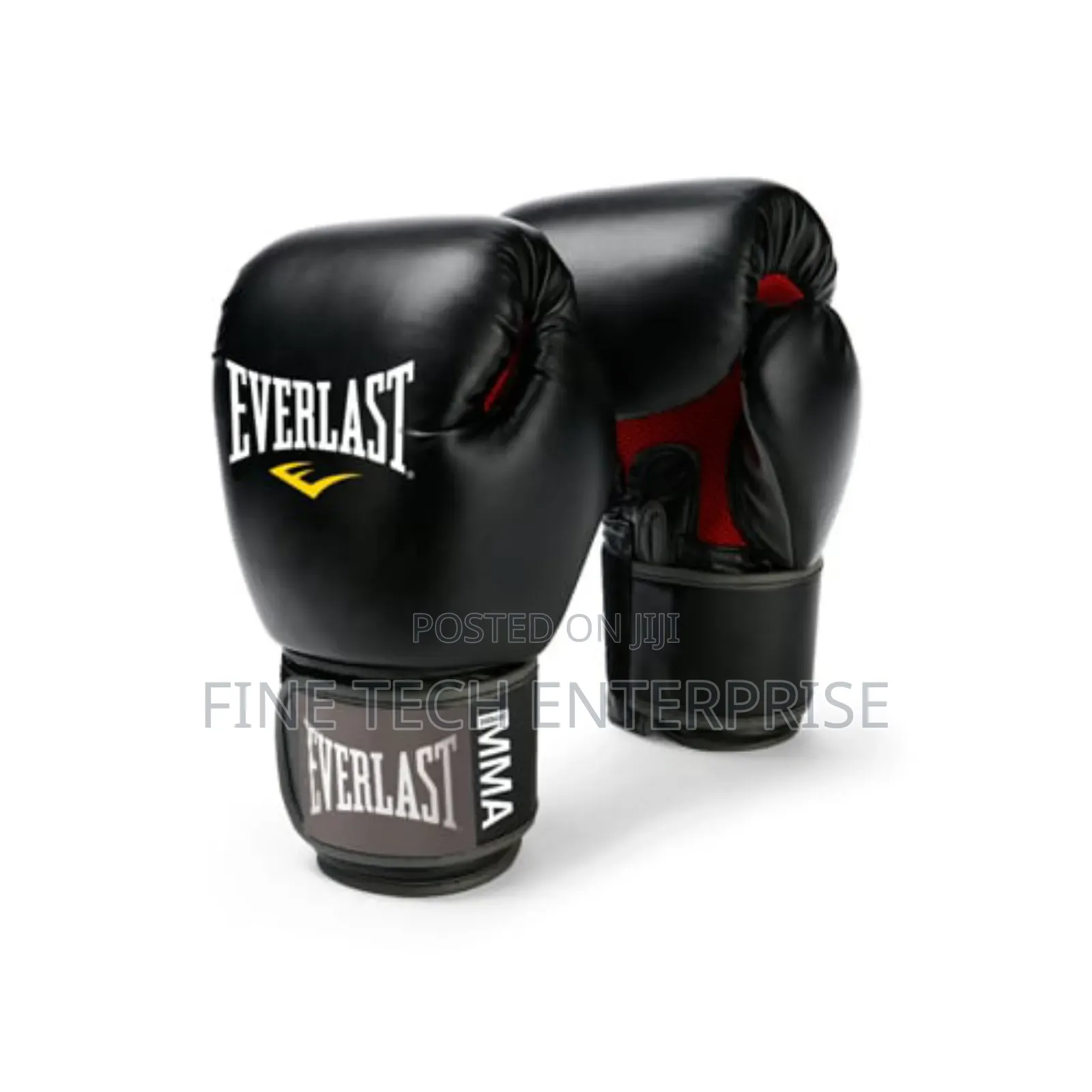 Everlast Boxing Gloves