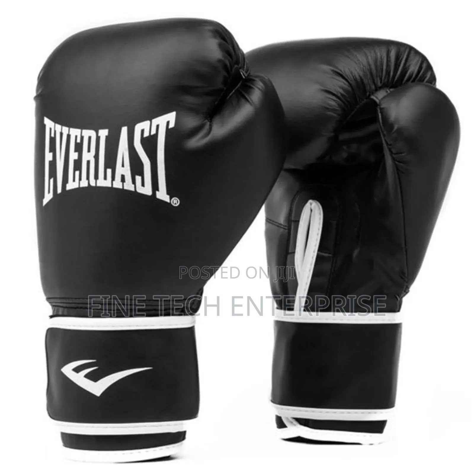 Everlast Boxing Gloves