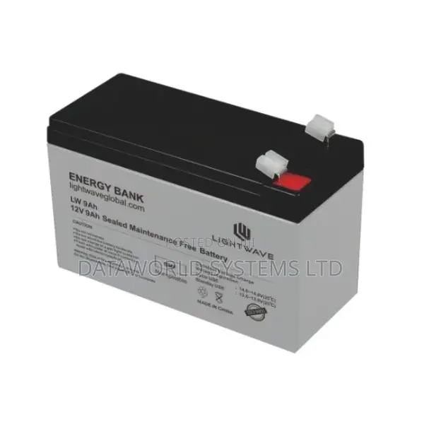 Lightwave 12 v / 9 Ah Batery