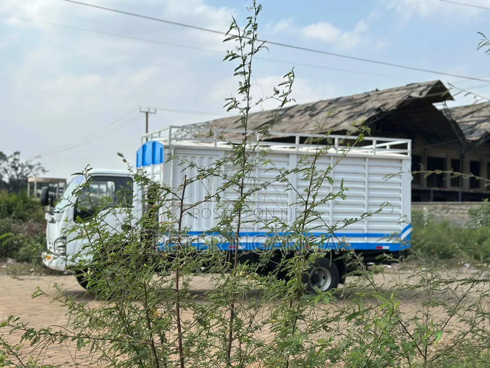 Isuzu NPR Local 2019