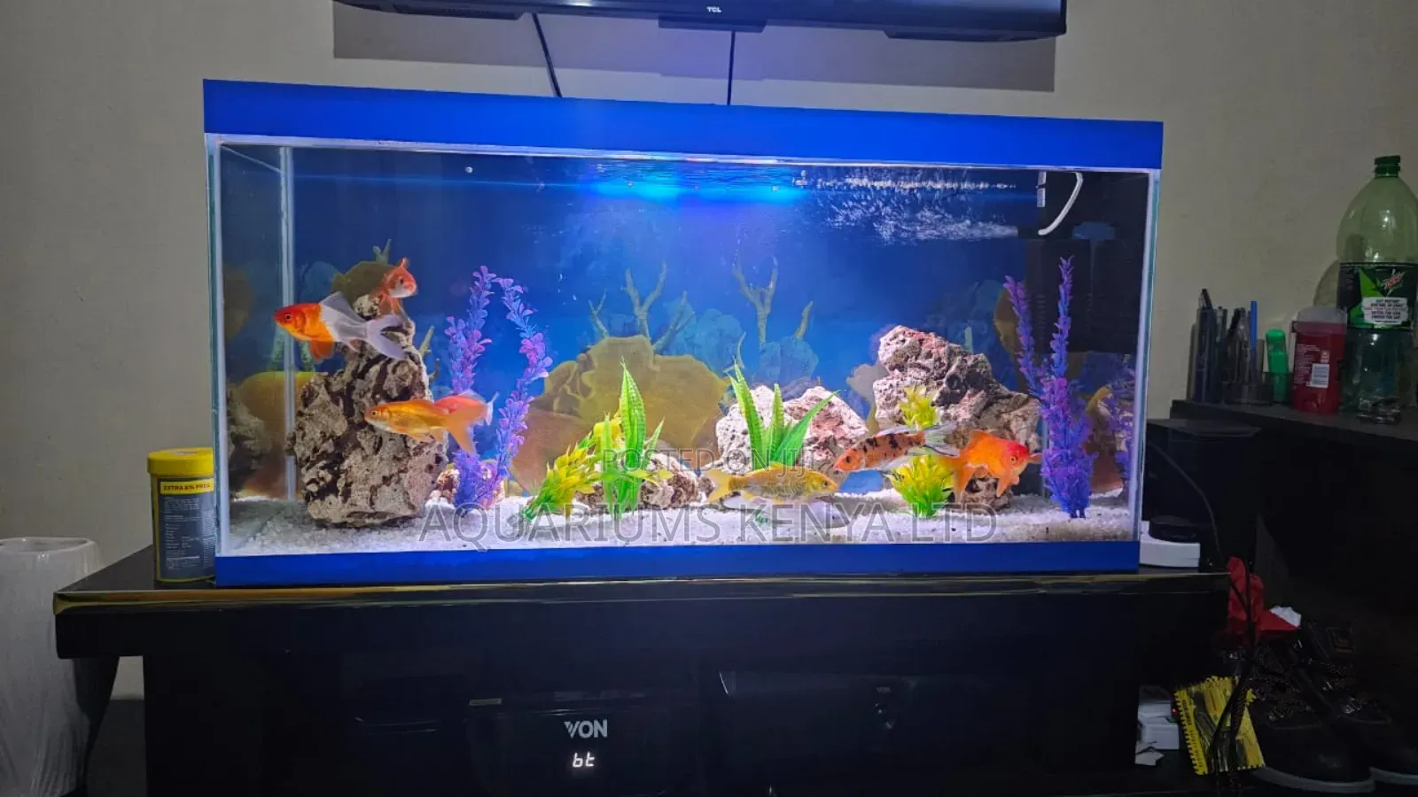Bottom Tv Aquarium 3ft