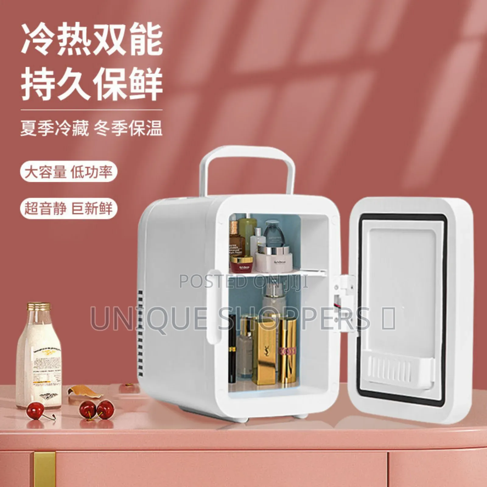 4l Portable Beauty Car Fridge With Mirror and Duo Power Option