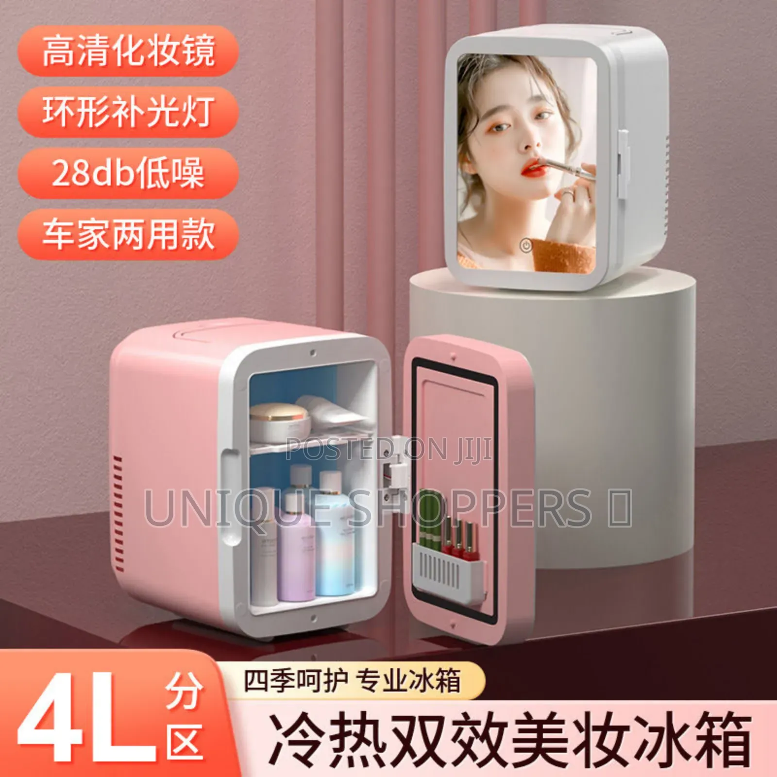 4l Portable Beauty Car Fridge With Mirror and Duo Power Option
