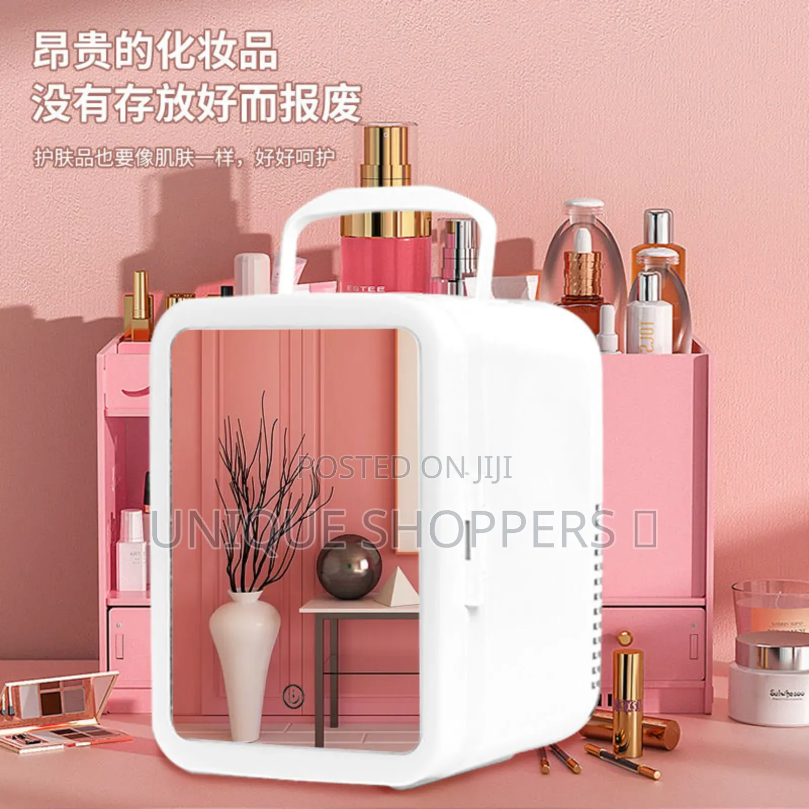 4l Portable Beauty Car Fridge With Mirror and Duo Power Option