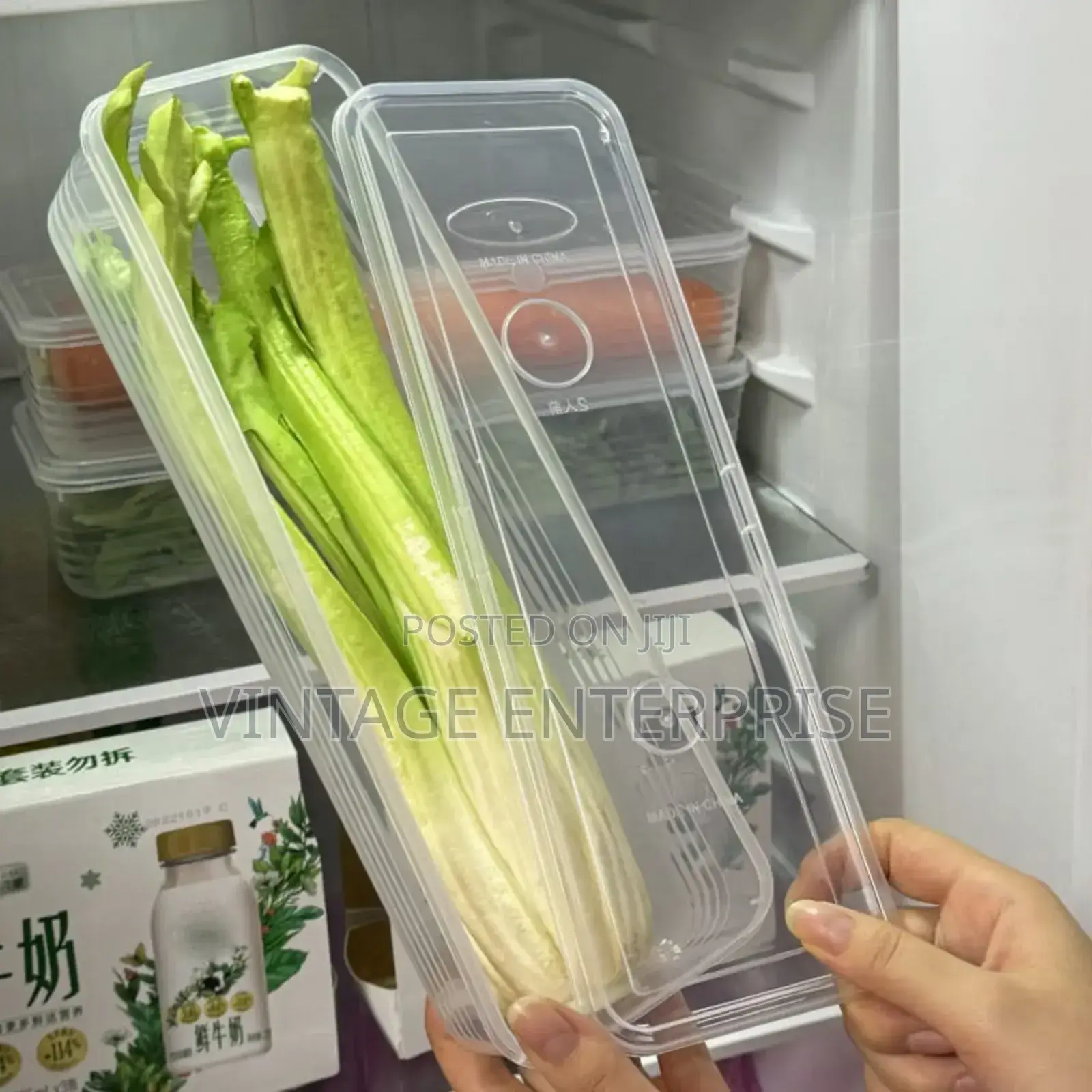 Refrigerator Herb Storage Box