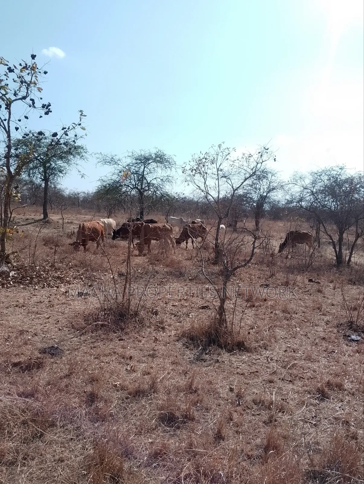 For Sale 9 Acres Located 7km Off-Machakos Kitui Rd-Mwala Maaueli