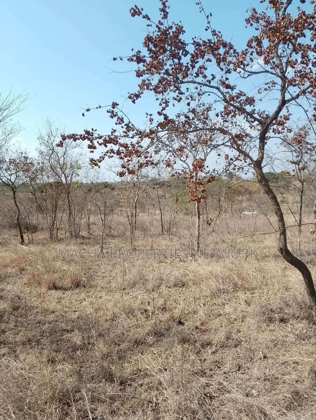 For Sale 9 Acres Located 7km Off-Machakos Kitui Rd-Mwala Maaueli