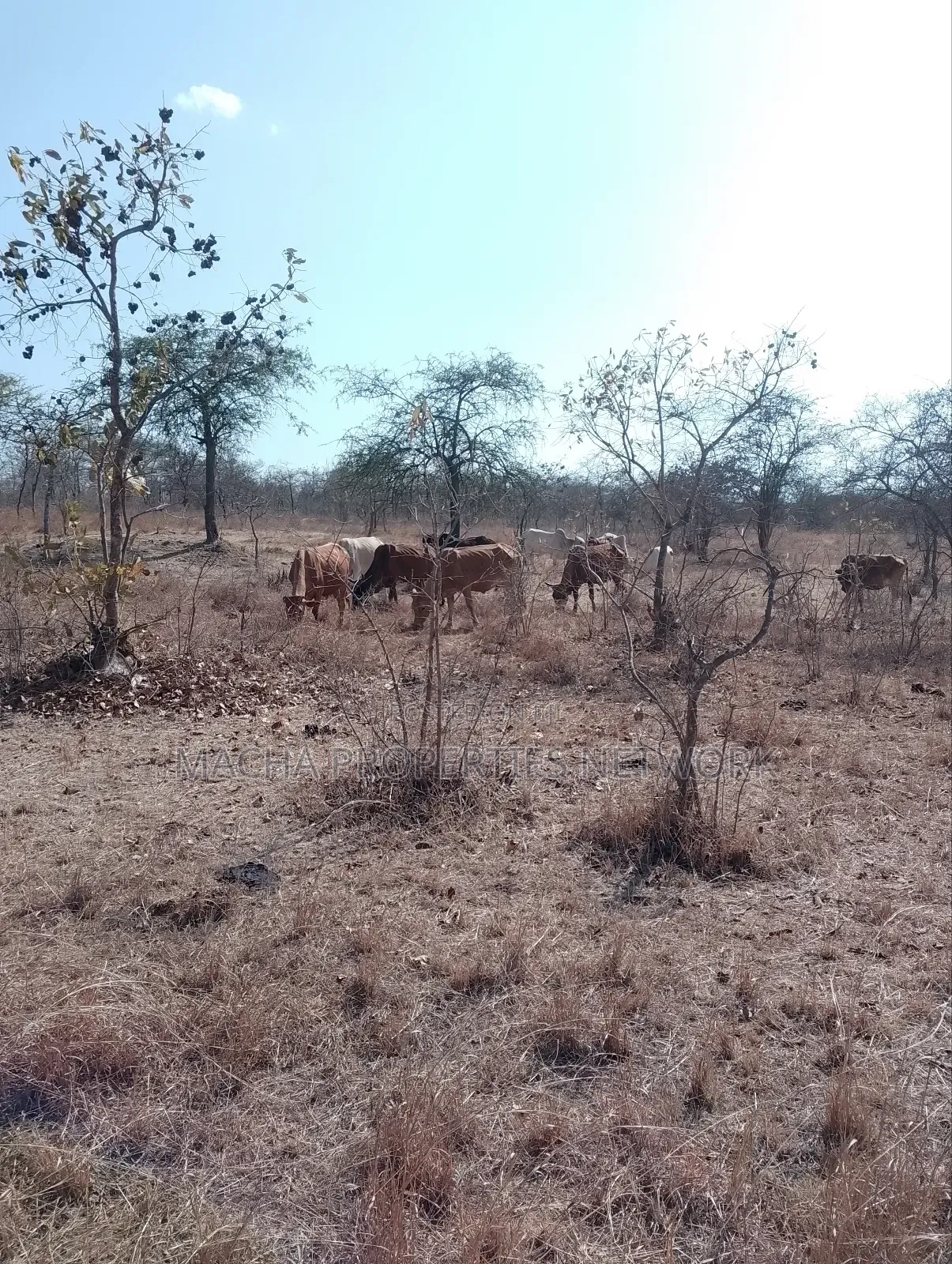 For Sale 9 Acres Located 7km Off-Machakos Kitui Rd-Mwala Maaueli